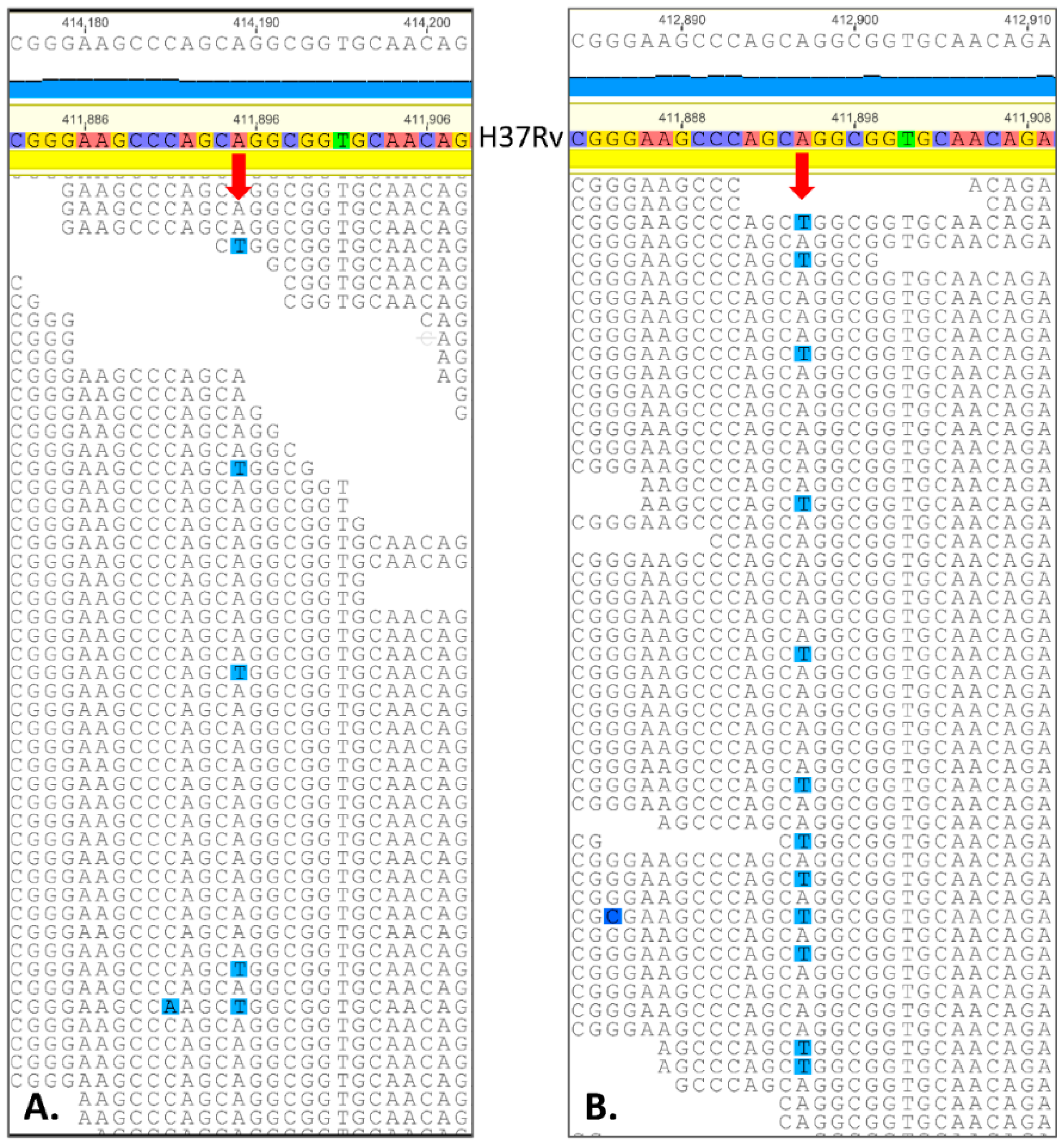 Pharmaceuticals 15 01136 g001