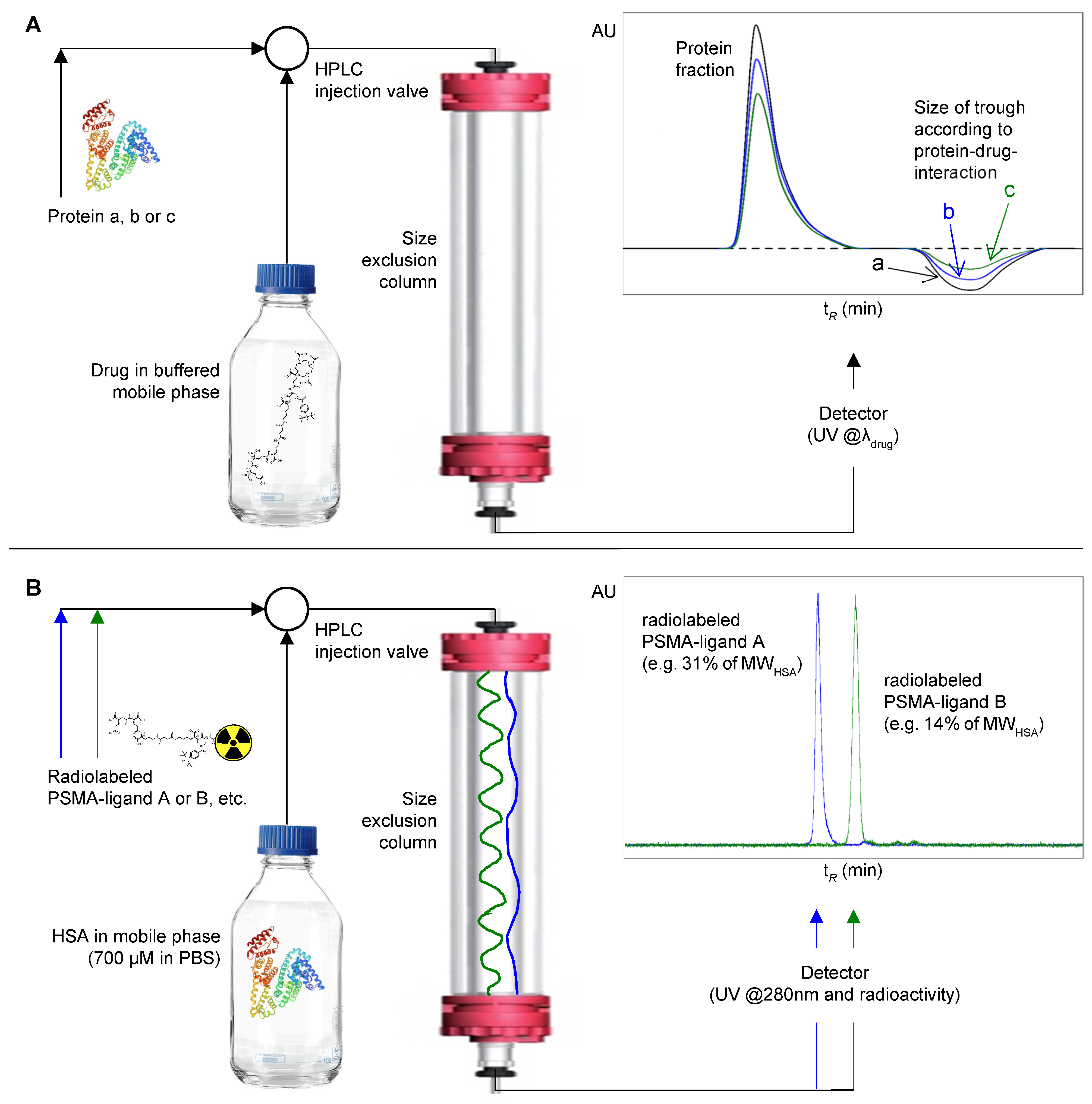Pharmaceuticals 15 01161 g001 Pharmaceuticals 15 01161 g001