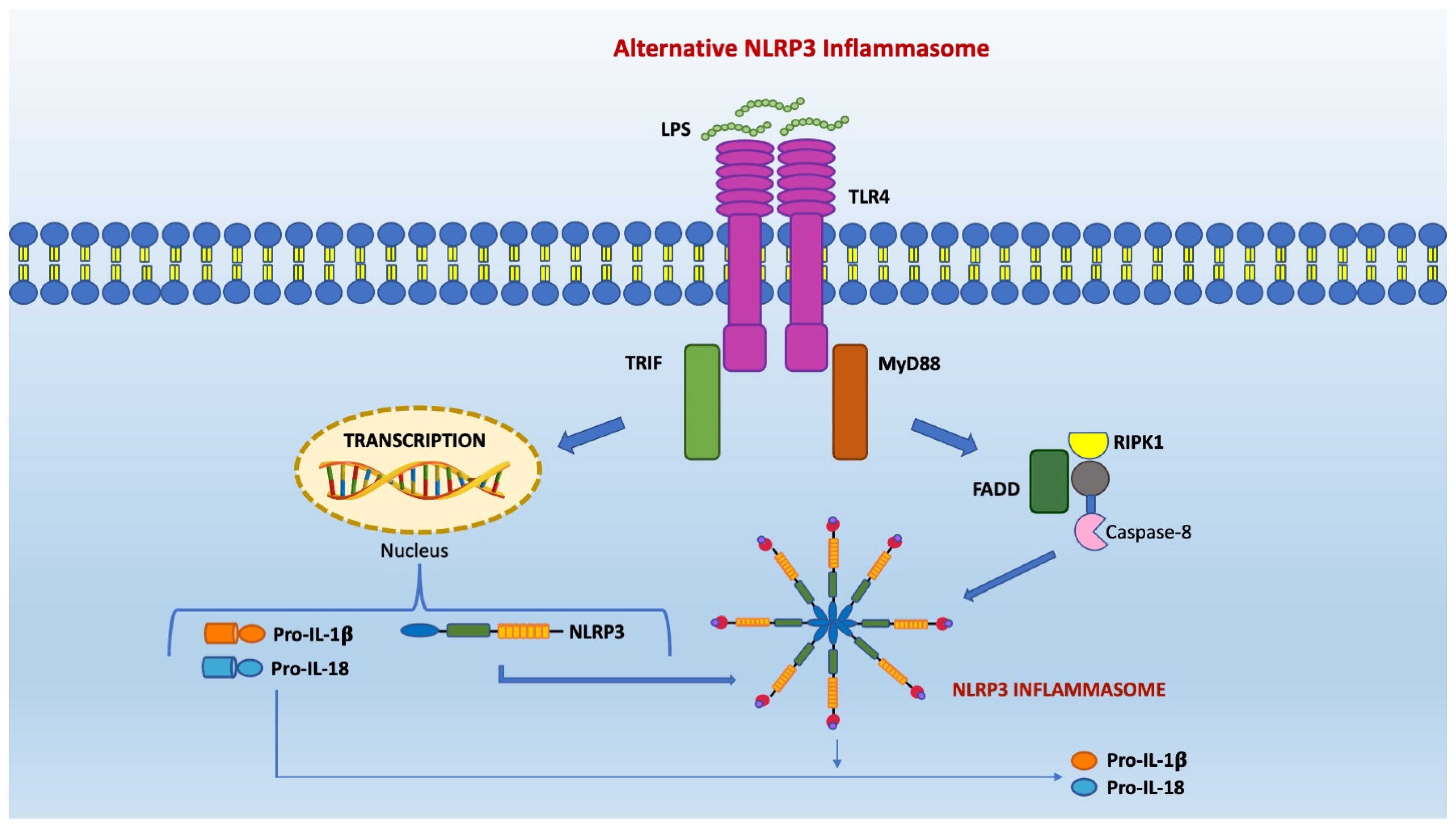 Pharmaceuticals 15 01168 g003