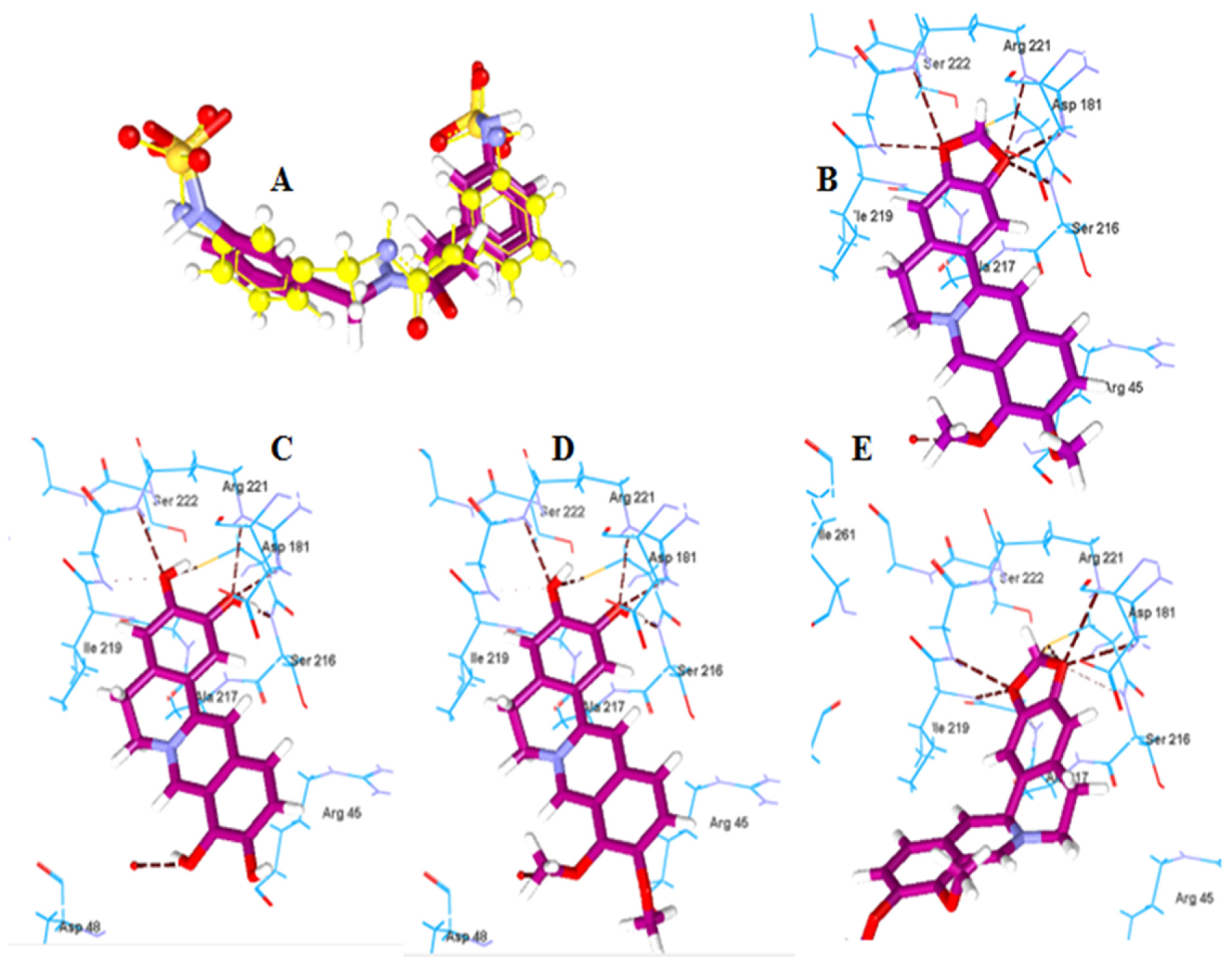 Pharmaceuticals 15 01195 g004 Pharmaceuticals 15 01195 g004