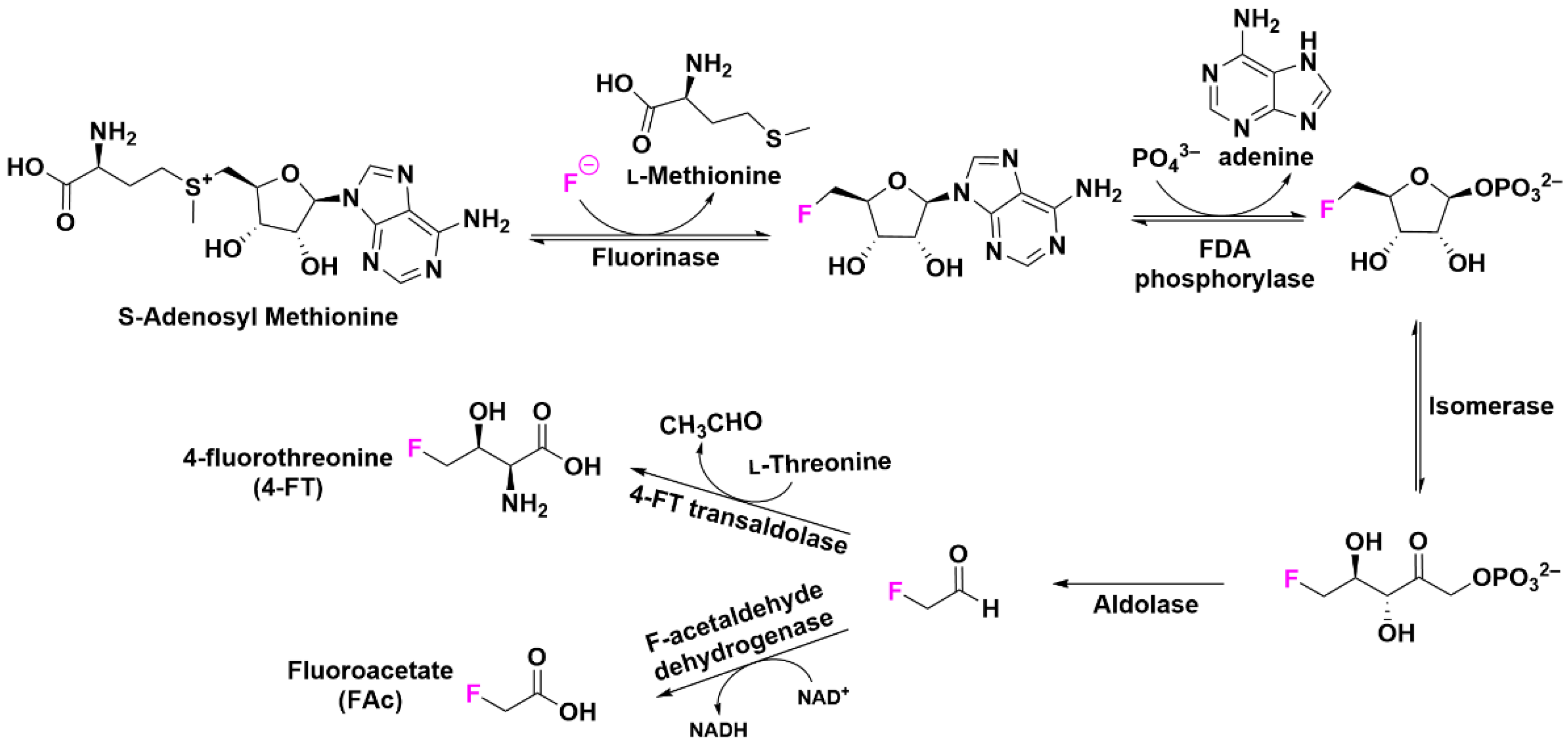 Pharmaceuticals 15 01201 g003
