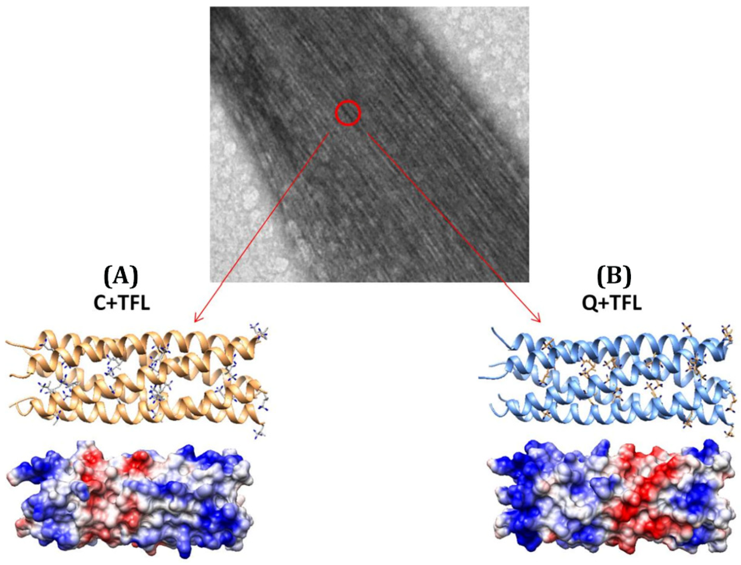Pharmaceuticals 15 01201 g008