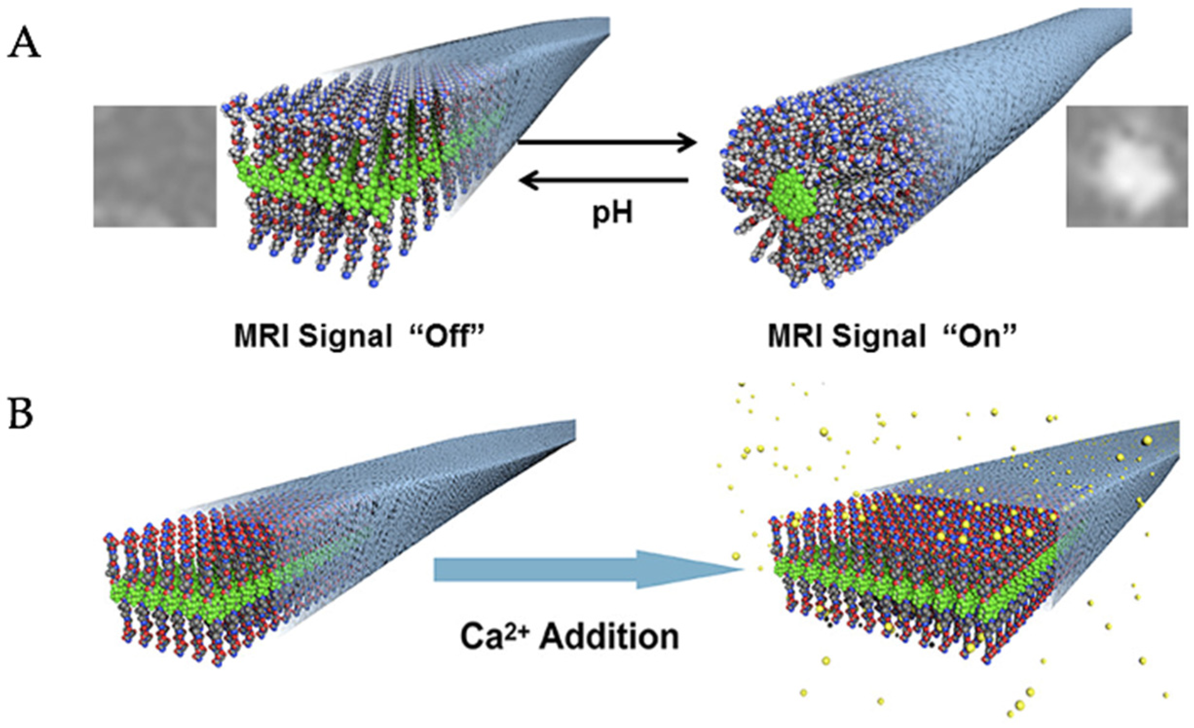 Pharmaceuticals 15 01201 g016