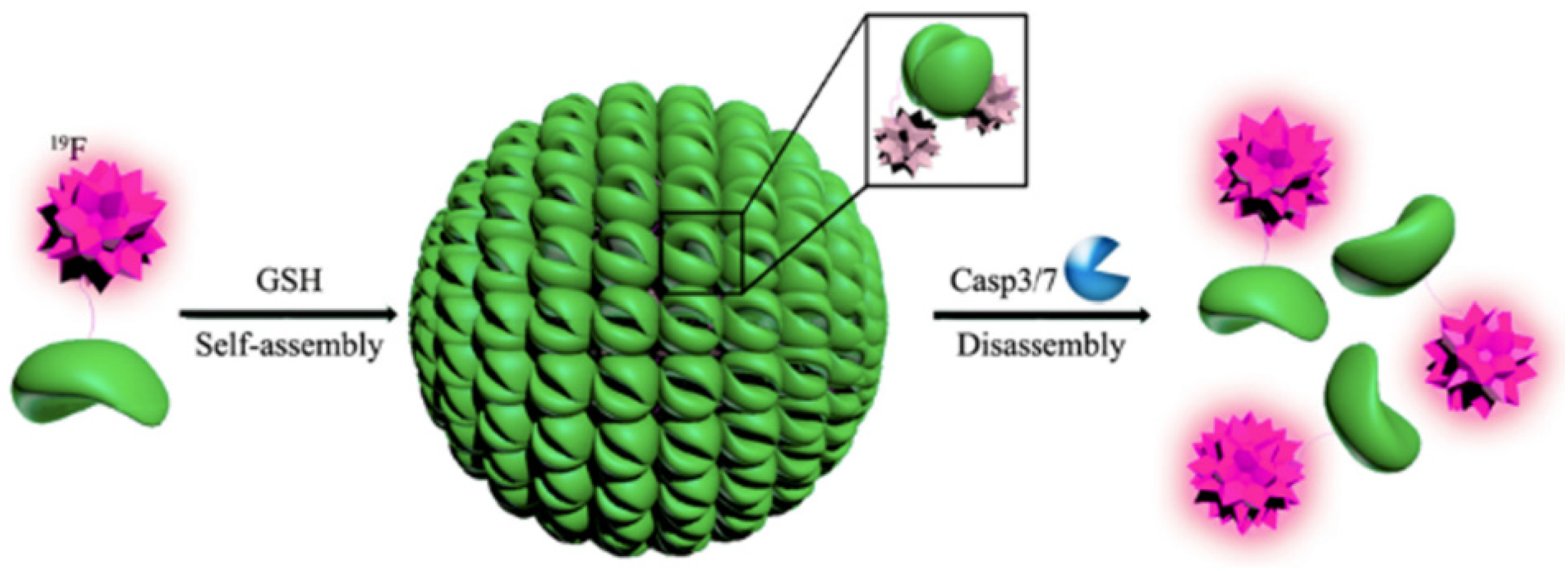 Pharmaceuticals 15 01201 g017