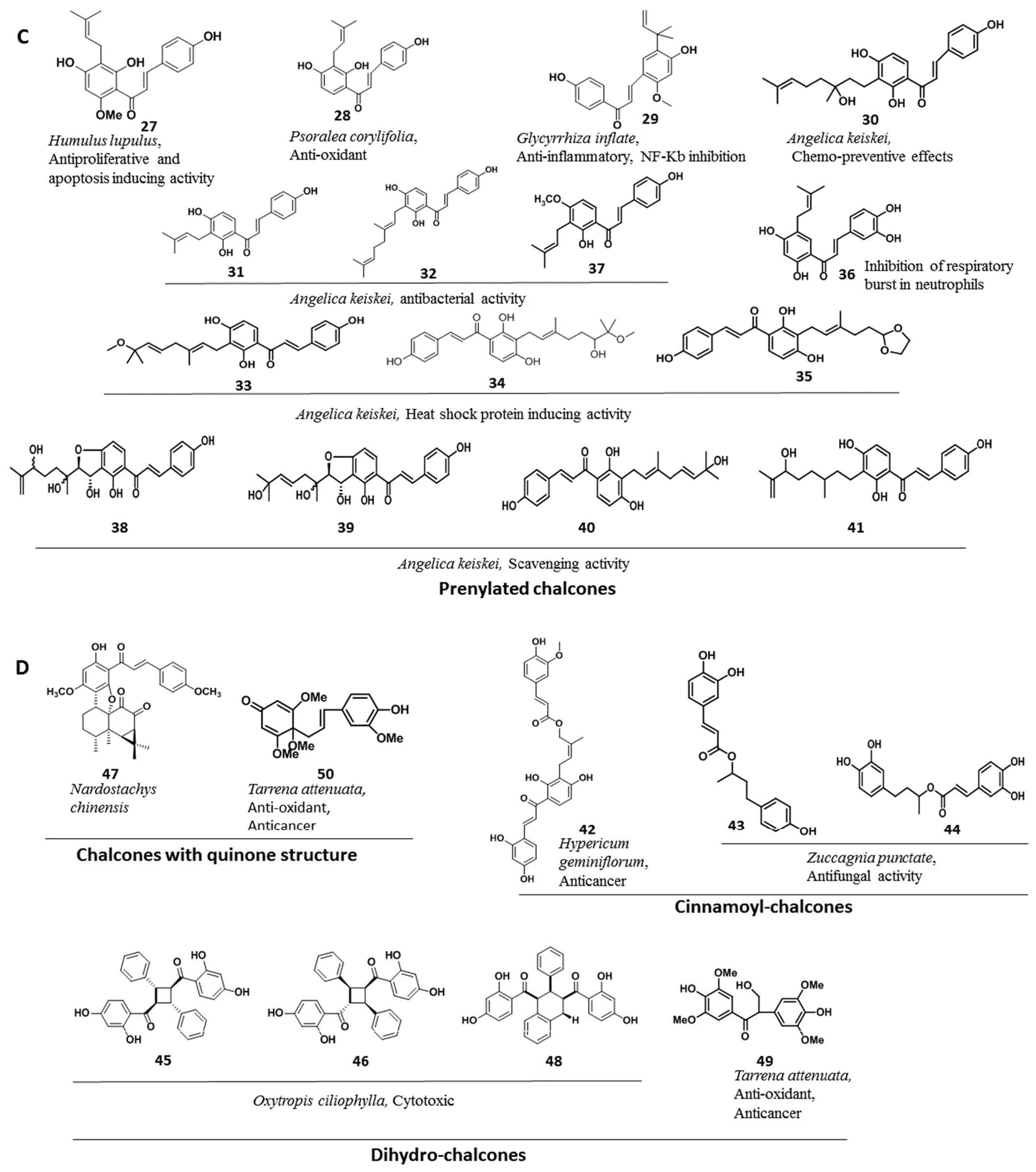 Pharmaceuticals 15 01250 g002b Pharmaceuticals 15 01250 g002b