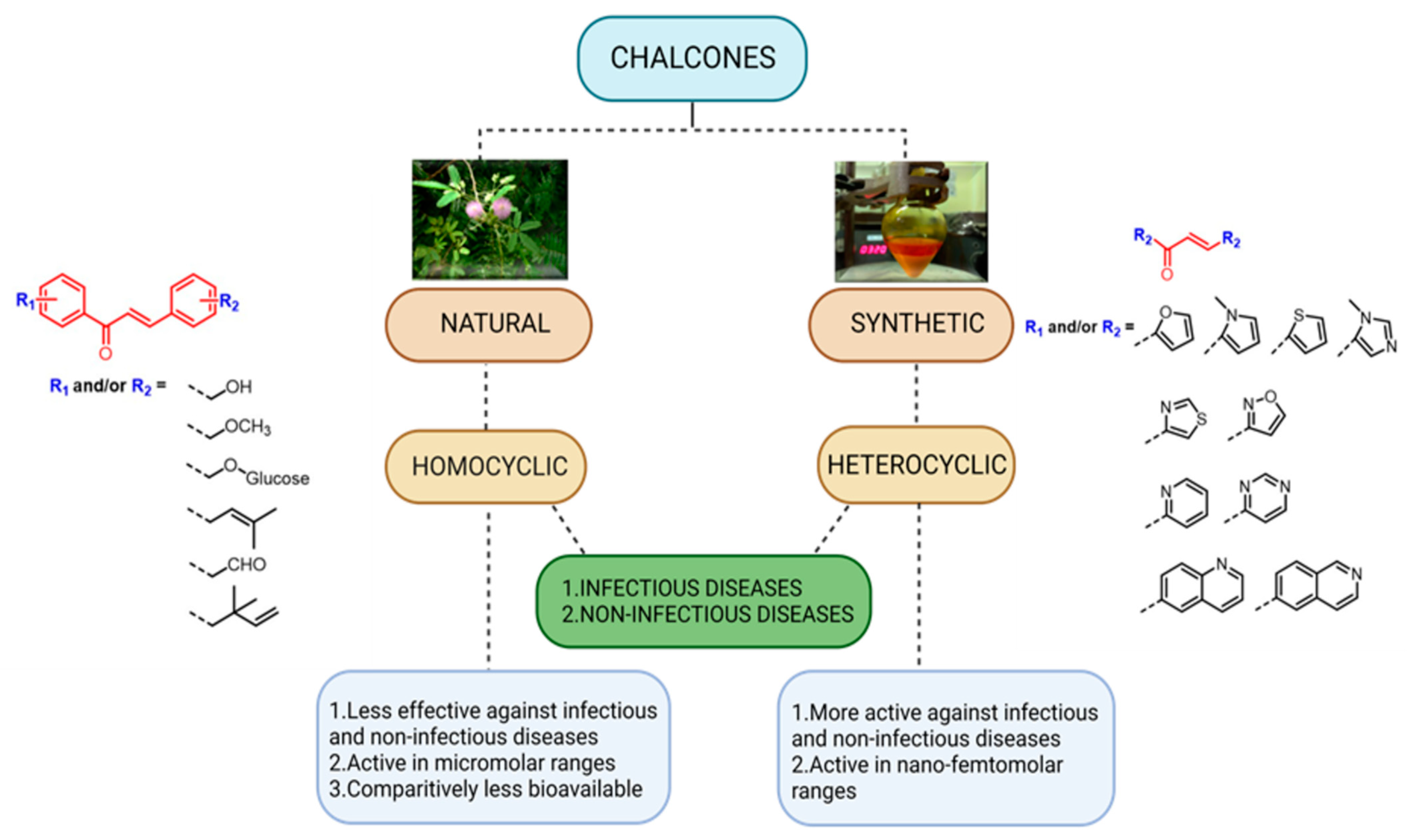 Pharmaceuticals 15 01250 g013 Pharmaceuticals 15 01250 g013