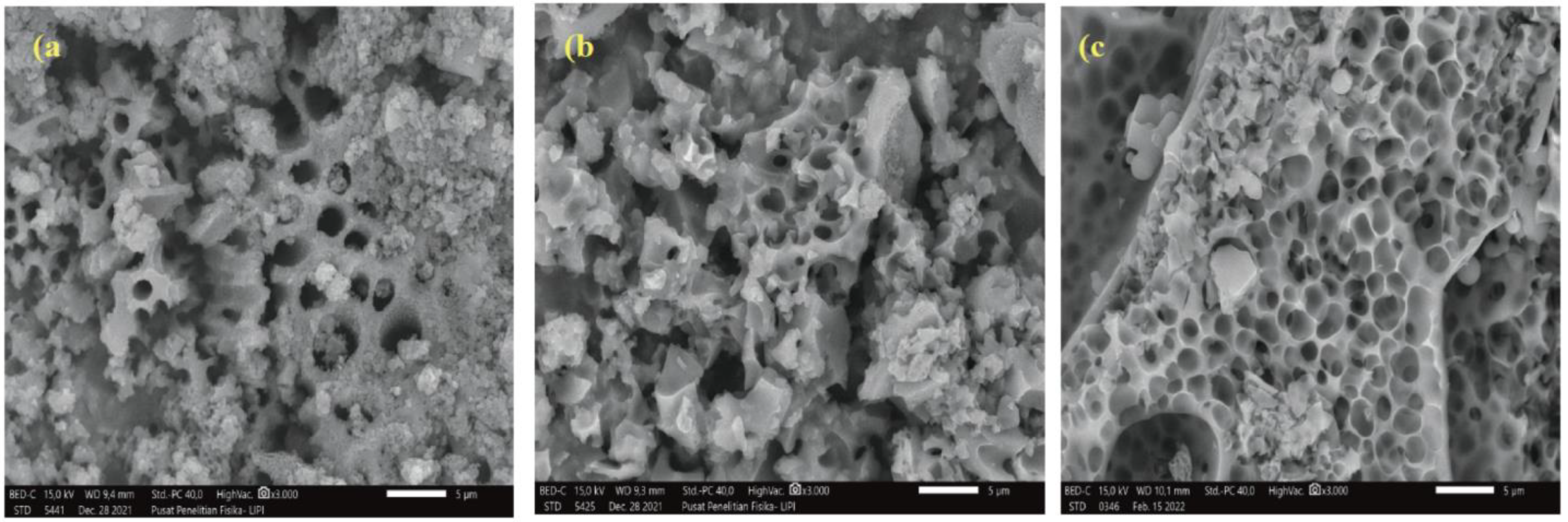 Pharmaceuticals 15 01251 g002 Pharmaceuticals 15 01251 g002