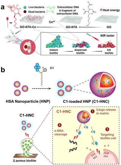 Pharmaceuticals | Free Full-Text | Targeted Anti-Biofilm Therapy ...