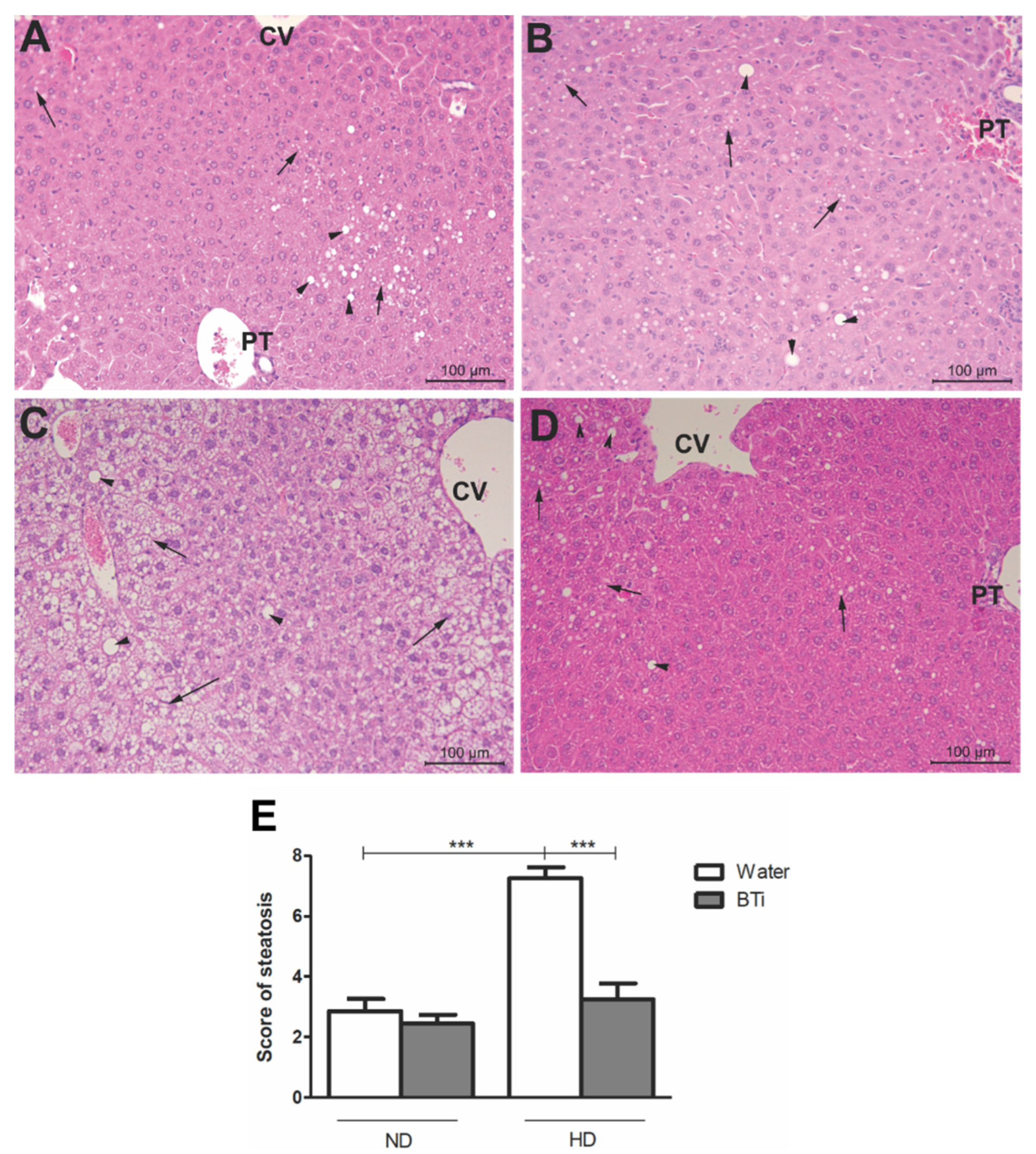 Pharmaceuticals 15 01258 g002