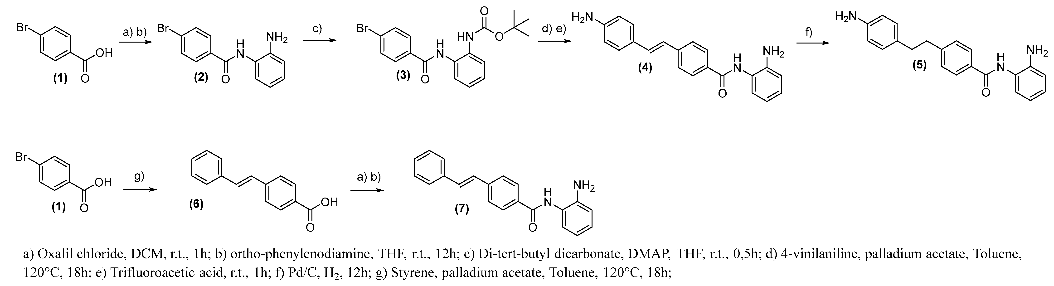 Pharmaceuticals 15 01260 g008