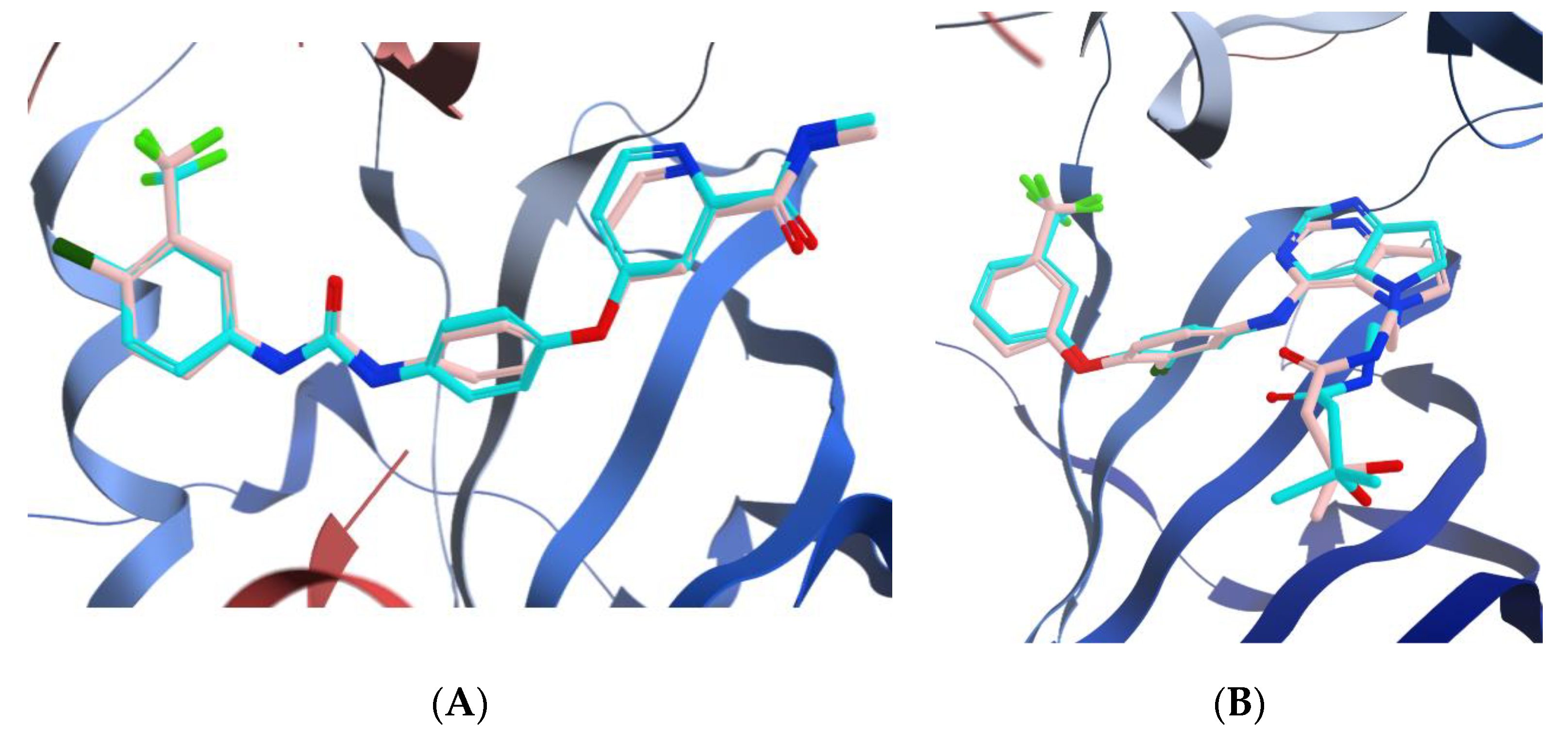 Pharmaceuticals 15 01262 g006