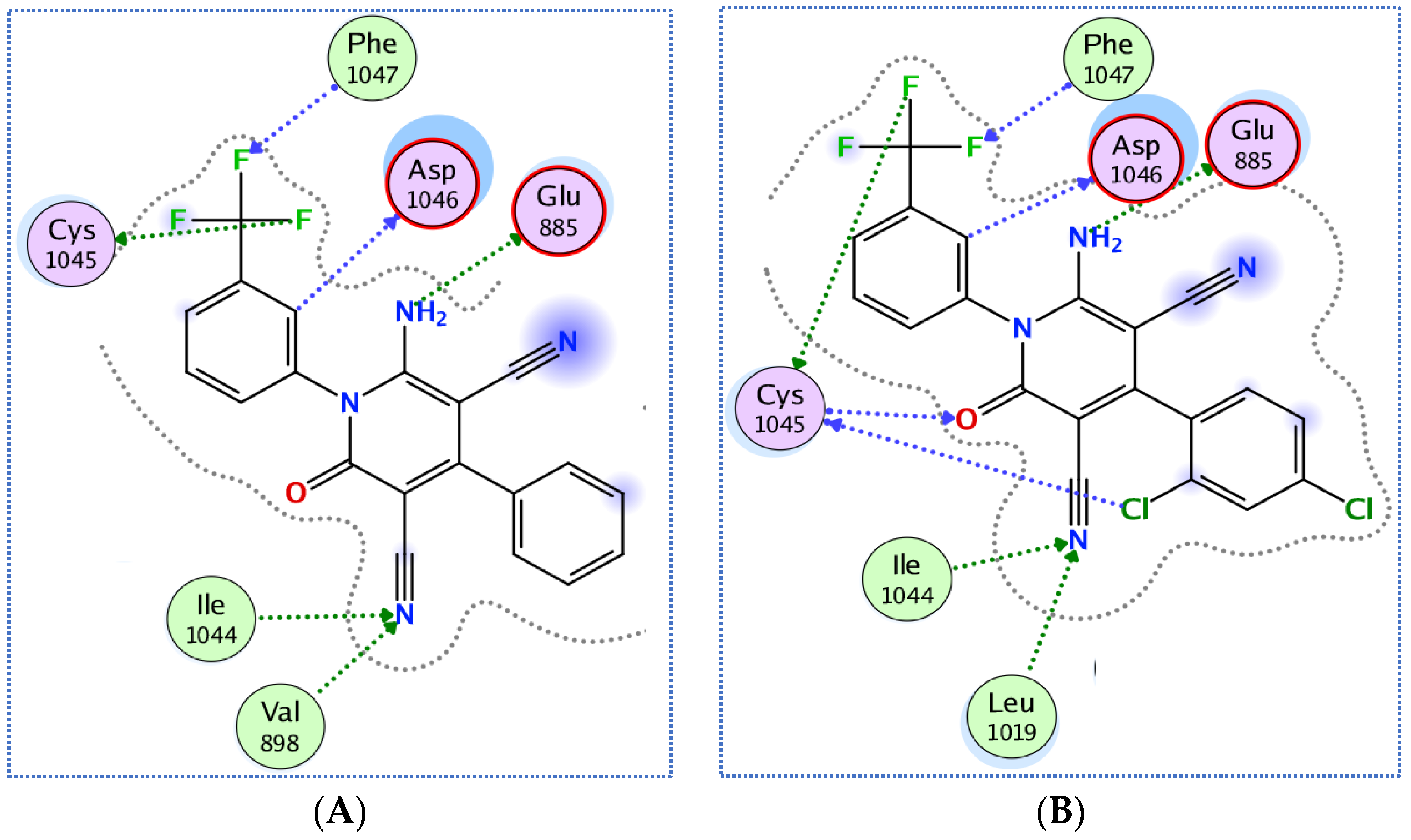 Pharmaceuticals 15 01262 g008