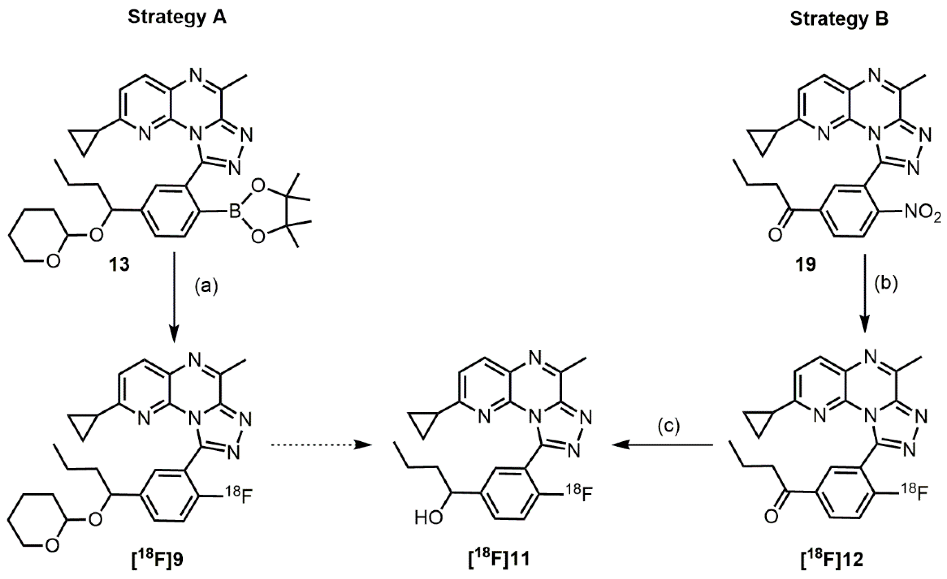 Pharmaceuticals | Free Full-Text | Radiosynthesis and Preclinical 