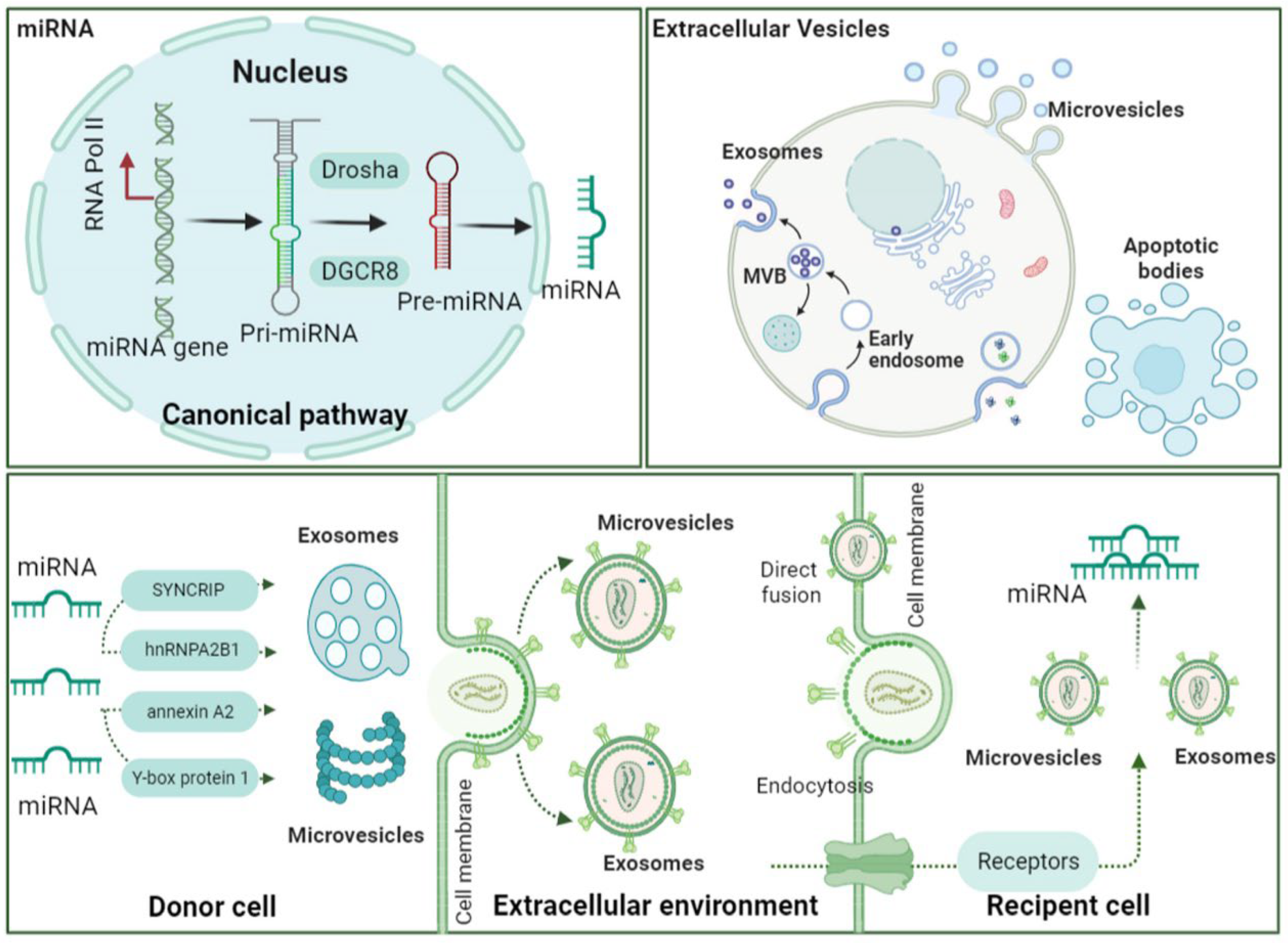 Pharmaceuticals 15 01276 g001 Pharmaceuticals 15 01276 g001