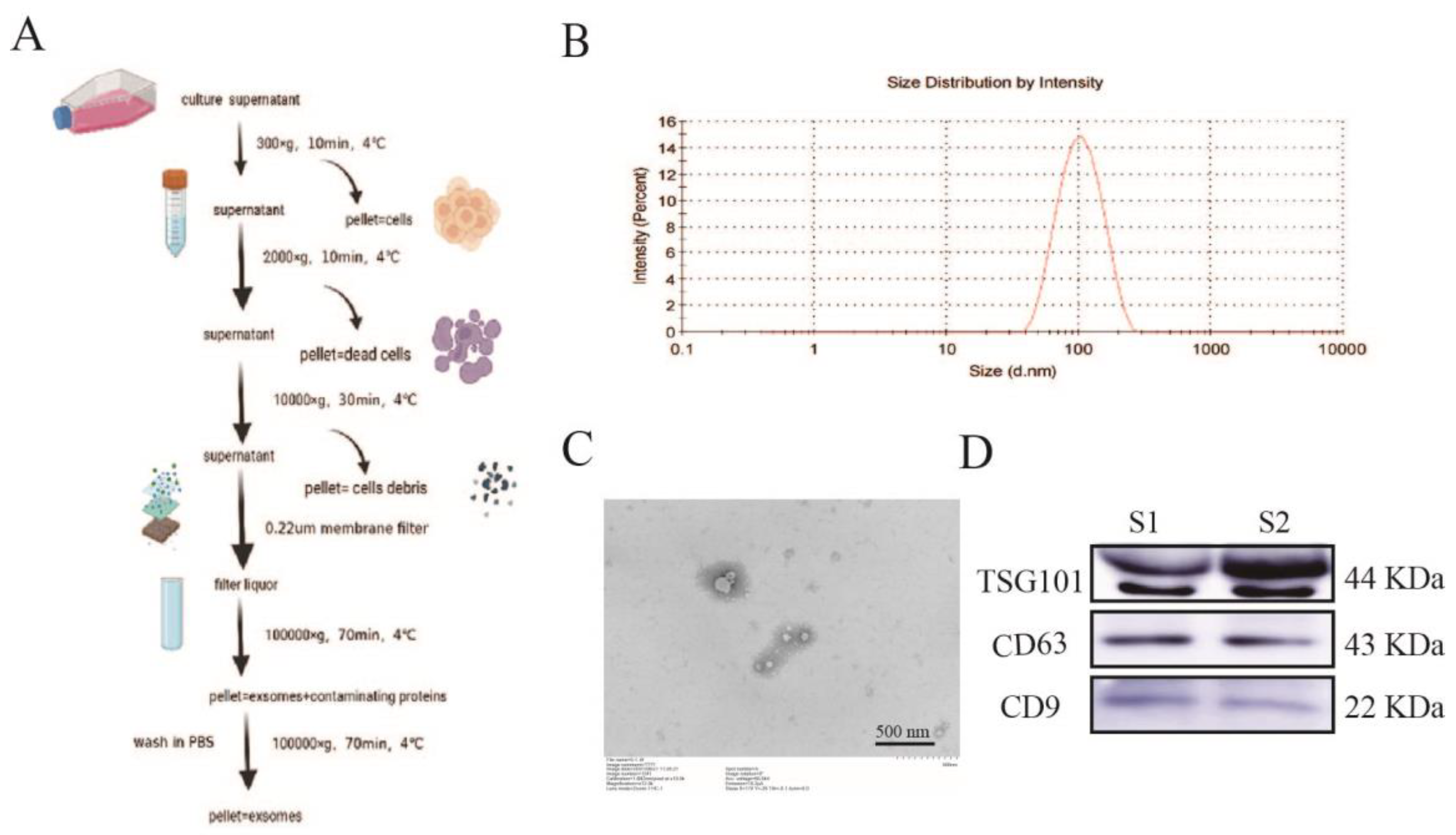 Pharmaceuticals 15 01287 g001