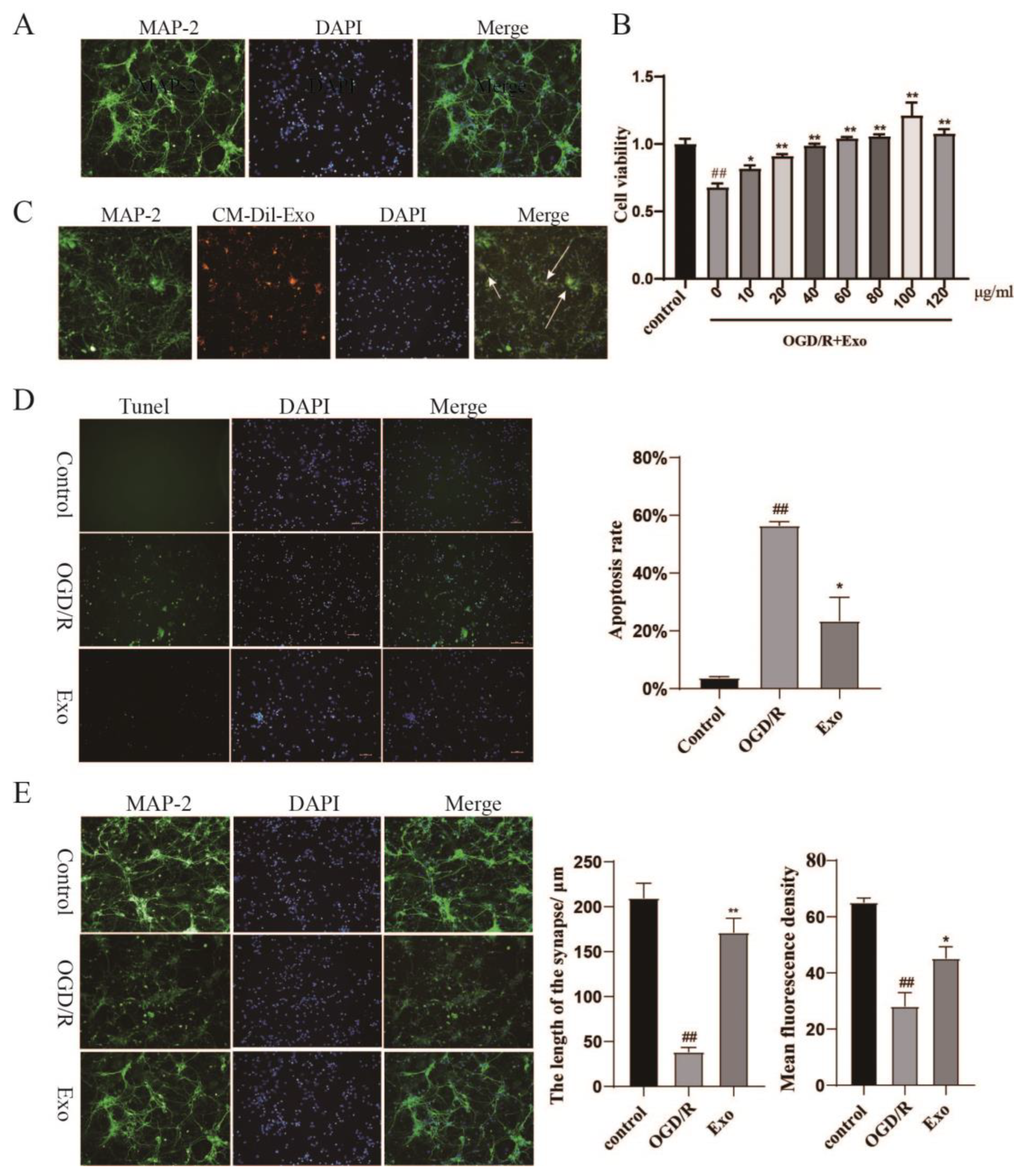 Pharmaceuticals 15 01287 g002