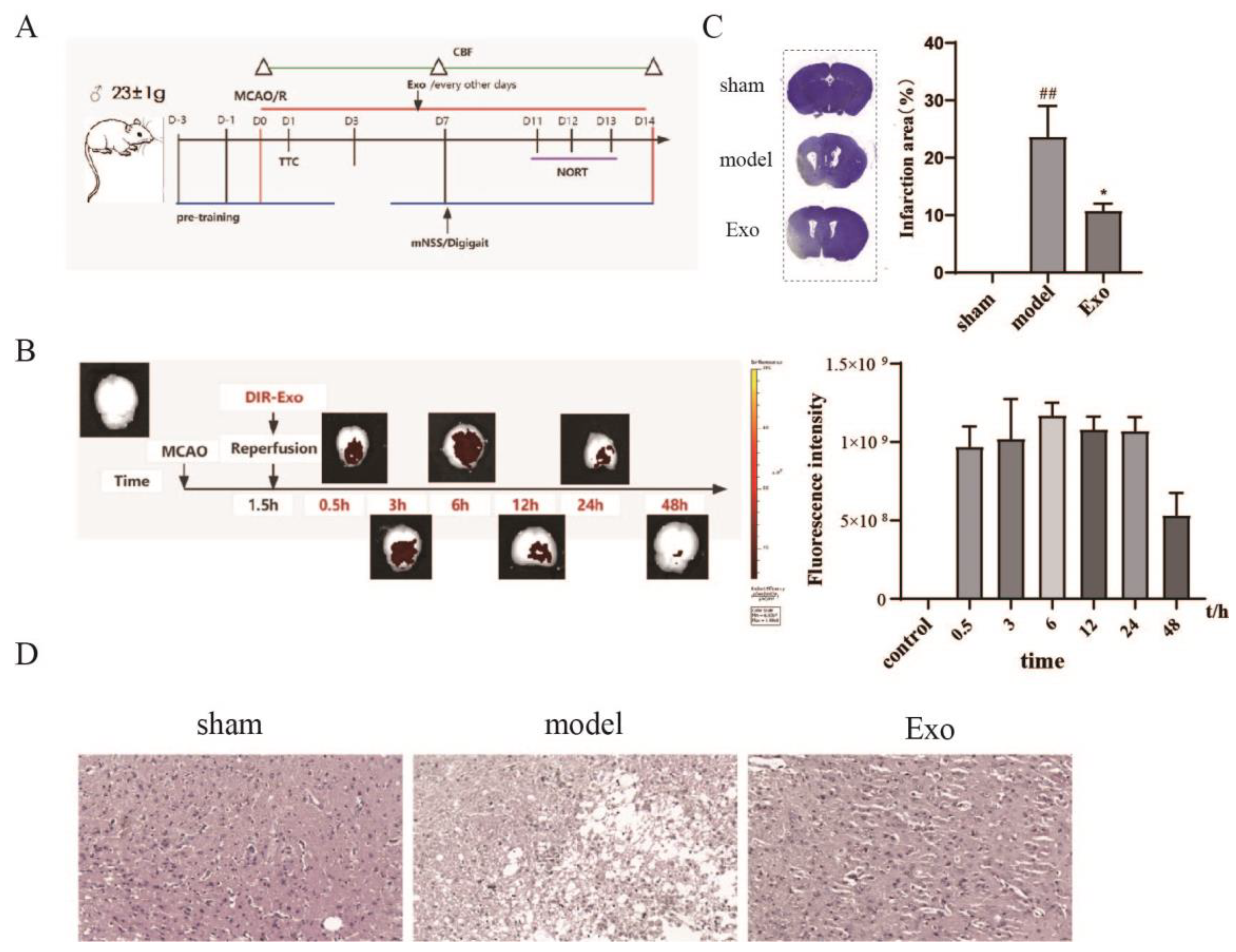 Pharmaceuticals 15 01287 g003
