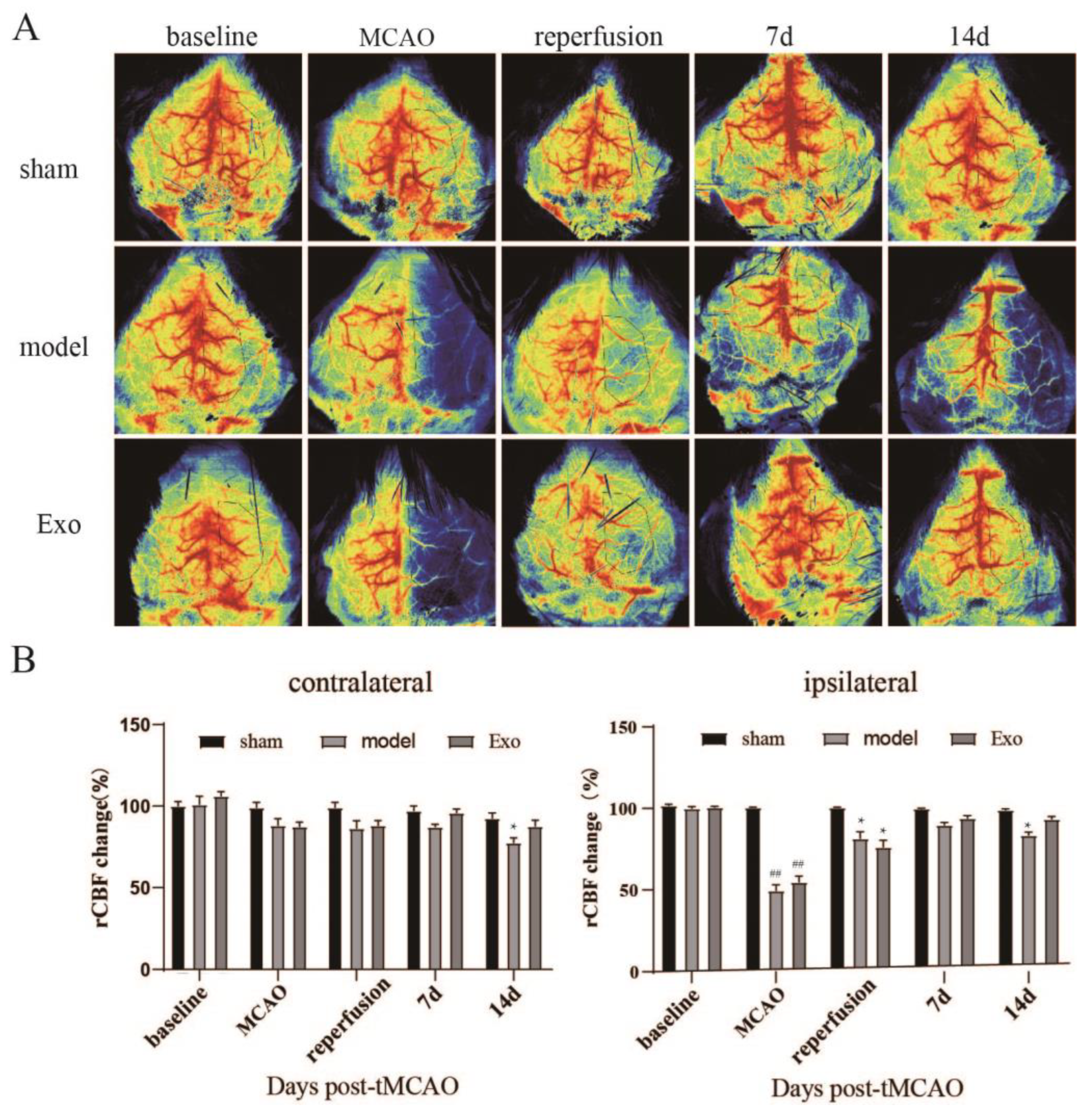 Pharmaceuticals 15 01287 g004