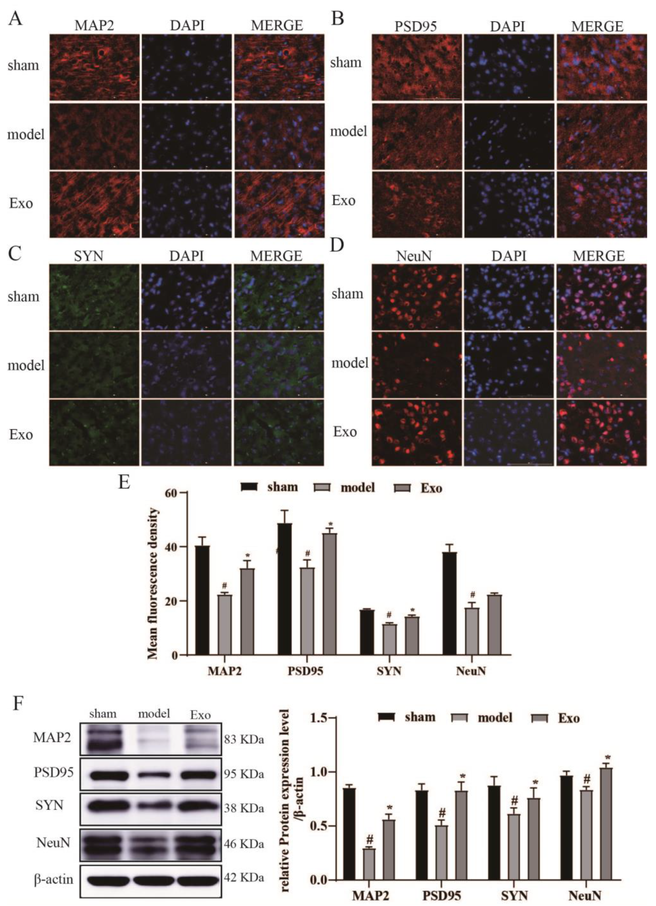 Pharmaceuticals 15 01287 g006
