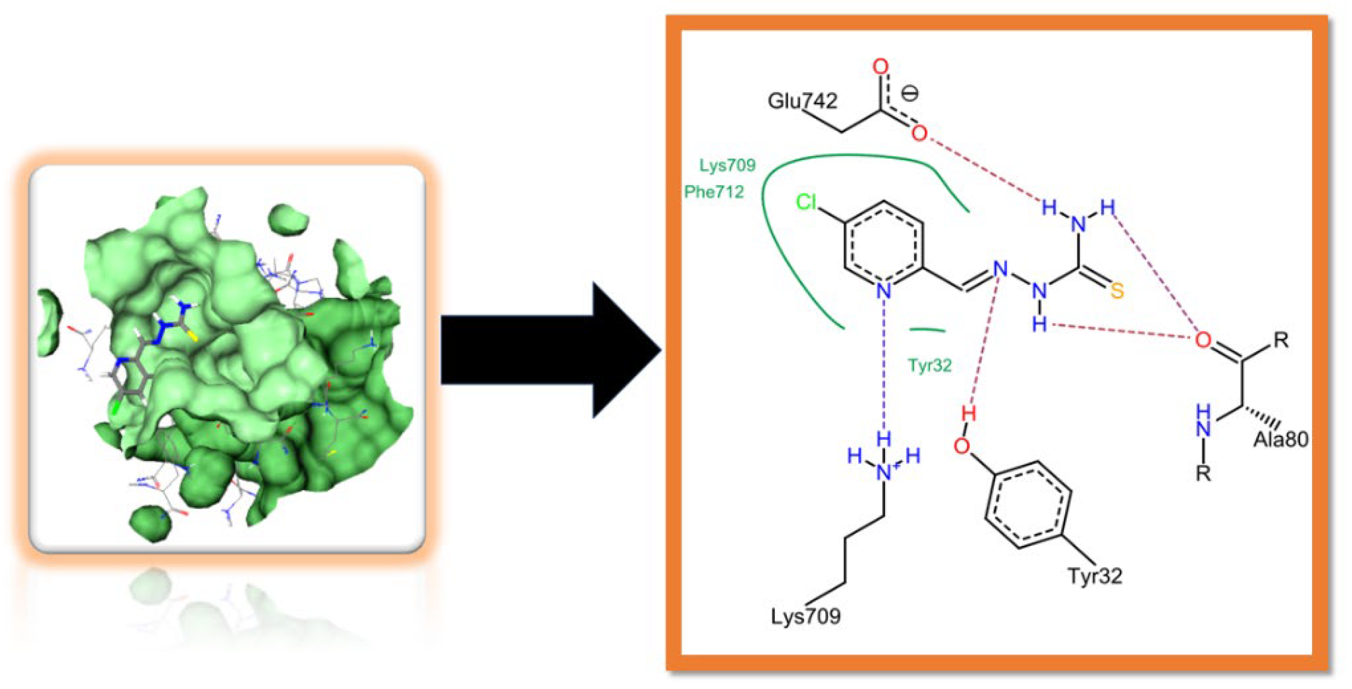 Pharmaceuticals 15 01288 g003