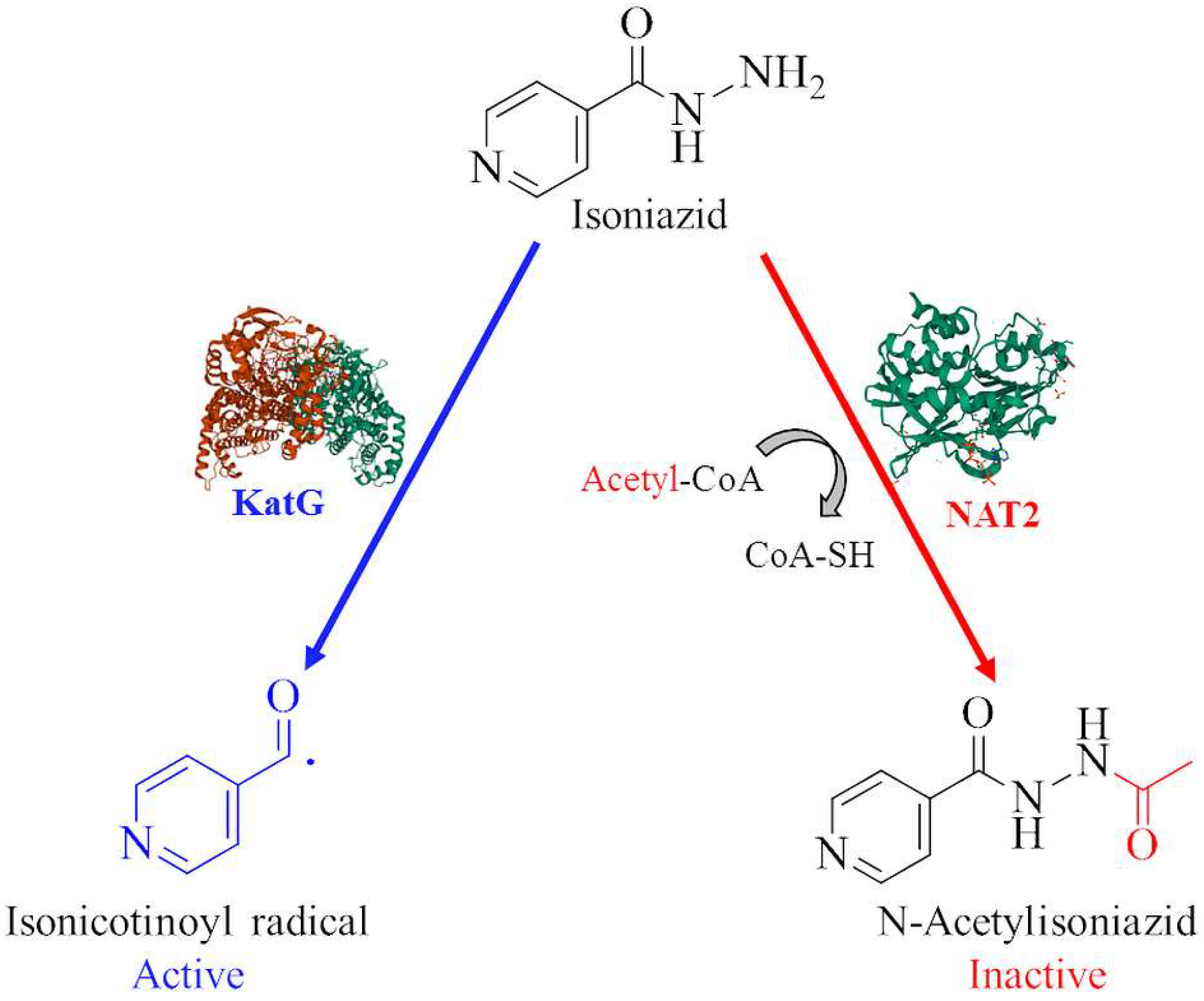 Pharmaceuticals 15 01301 g001 Pharmaceuticals 15 01301 g001