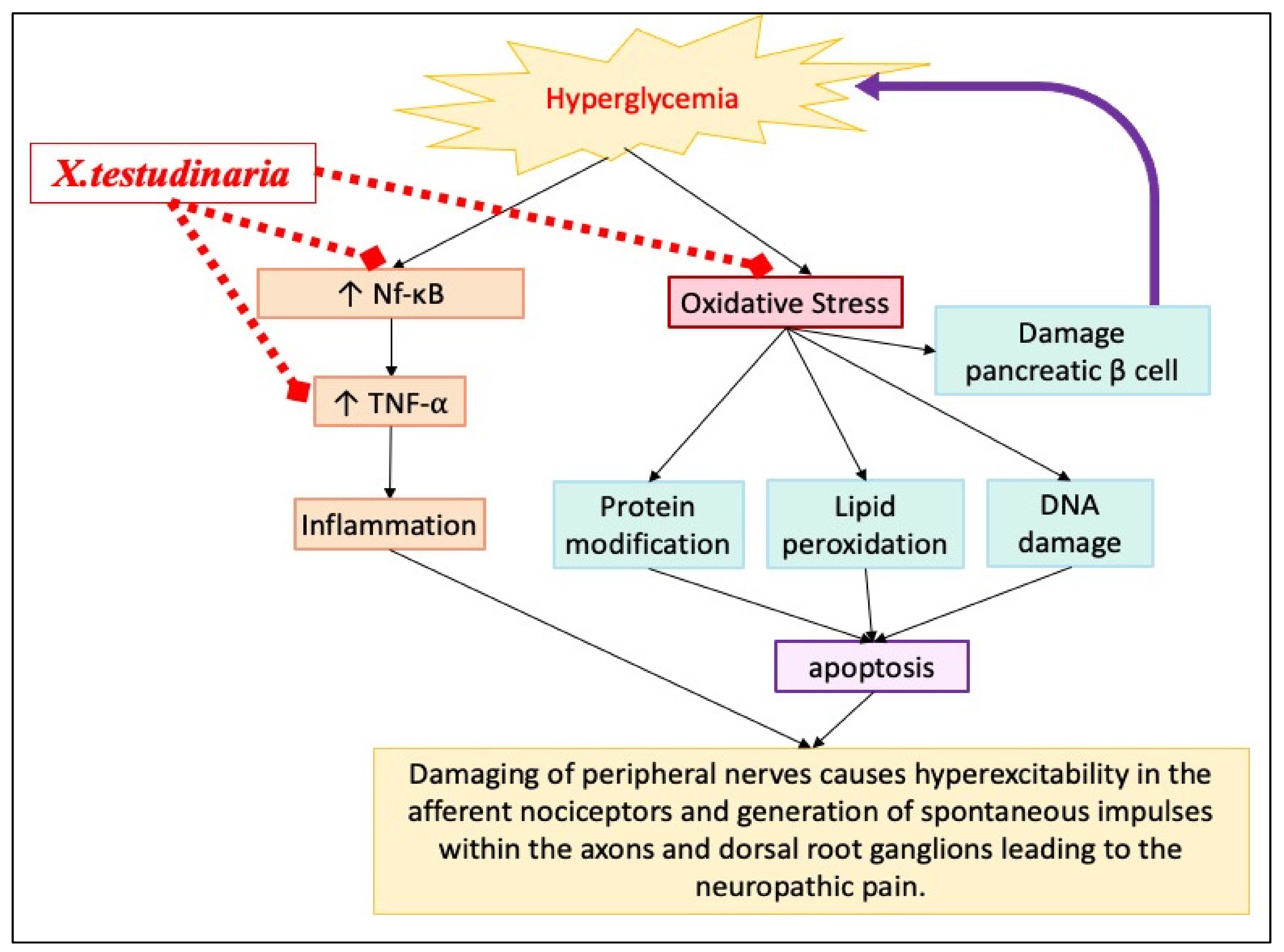 Pharmaceuticals 15 01309 g009