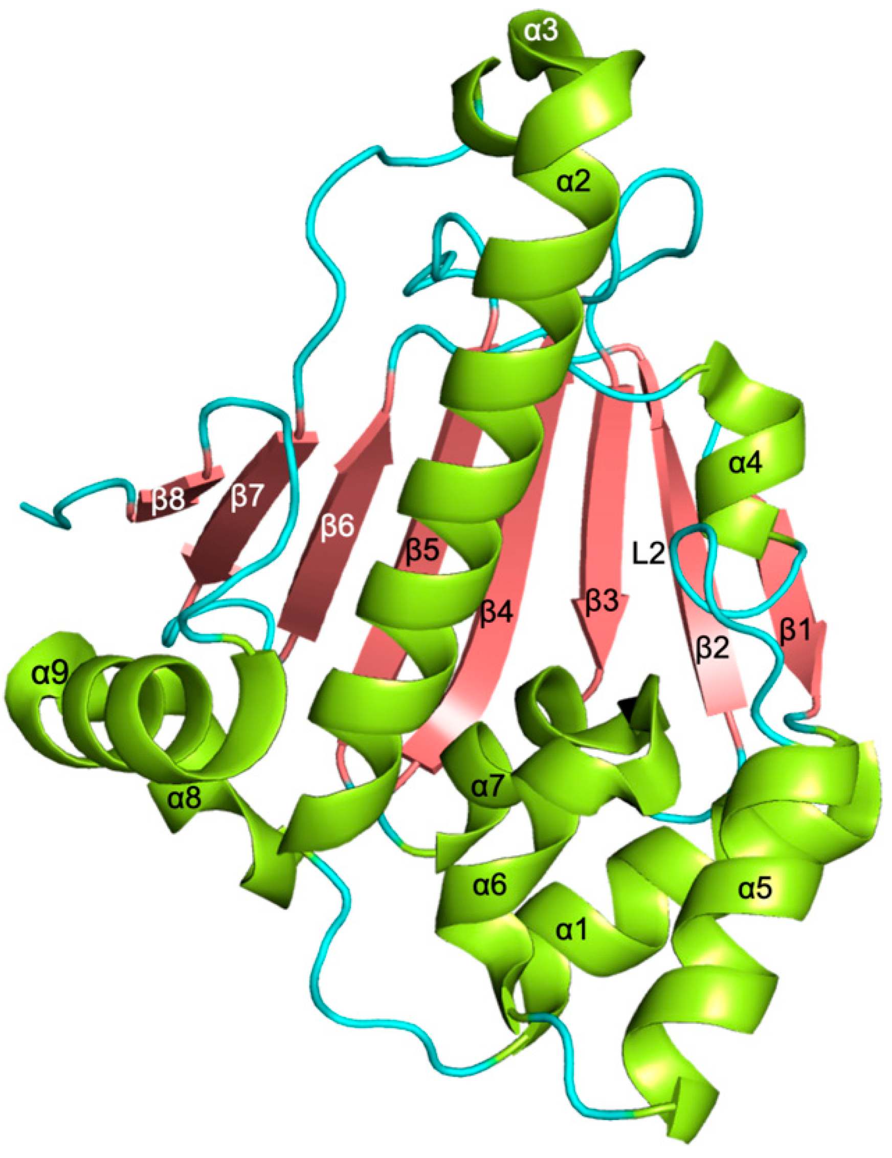 Pharmaceuticals 15 01341 g002
