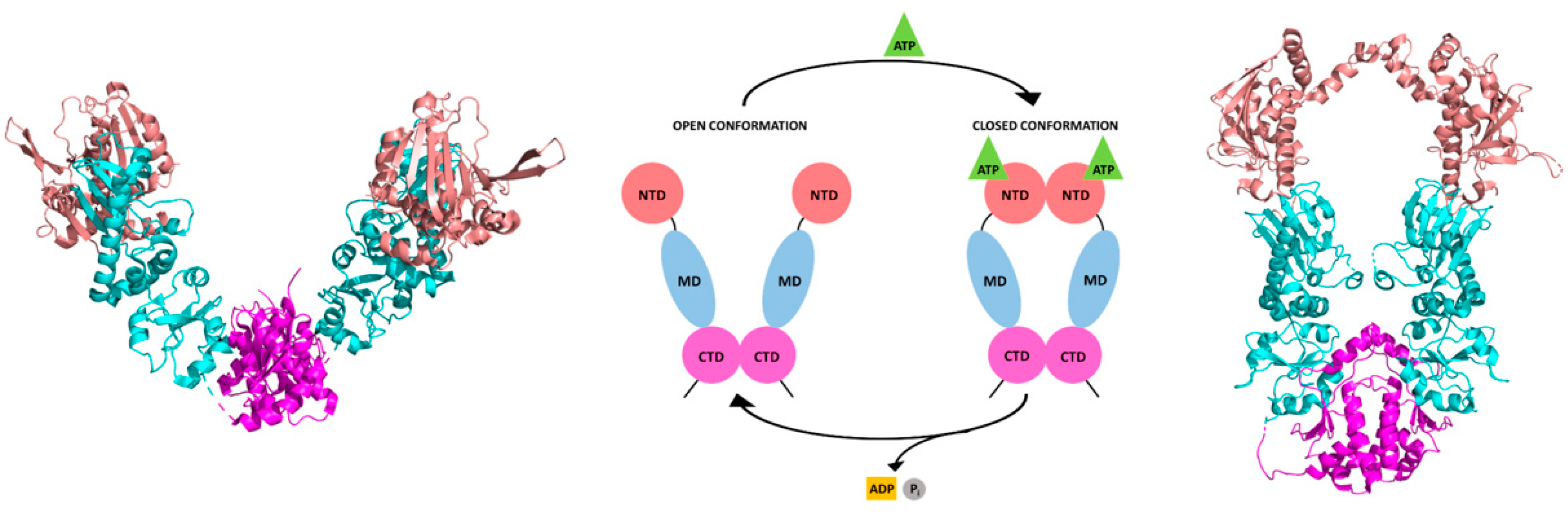 Pharmaceuticals 15 01341 g006