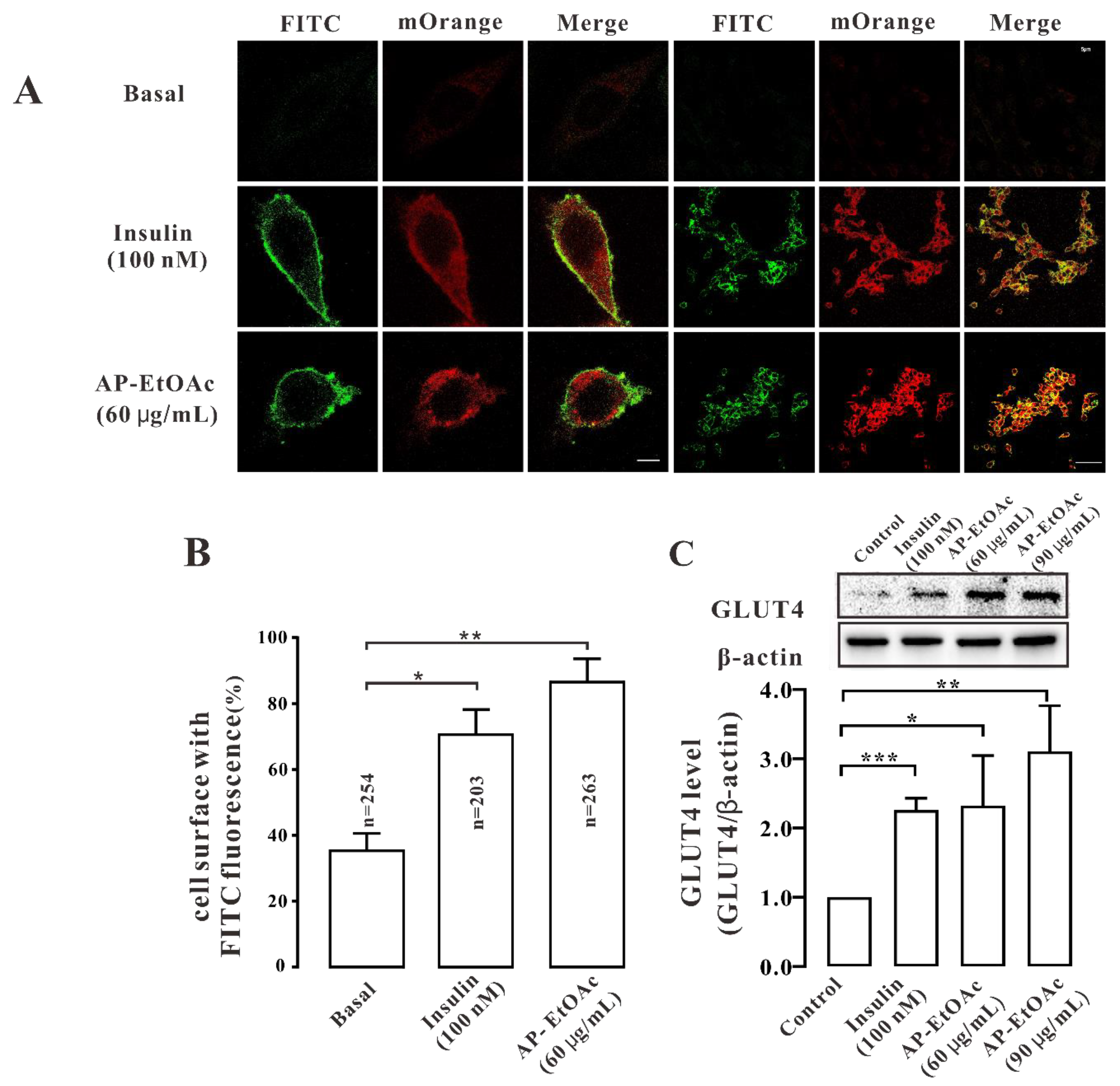 Pharmaceuticals 15 01346 g003