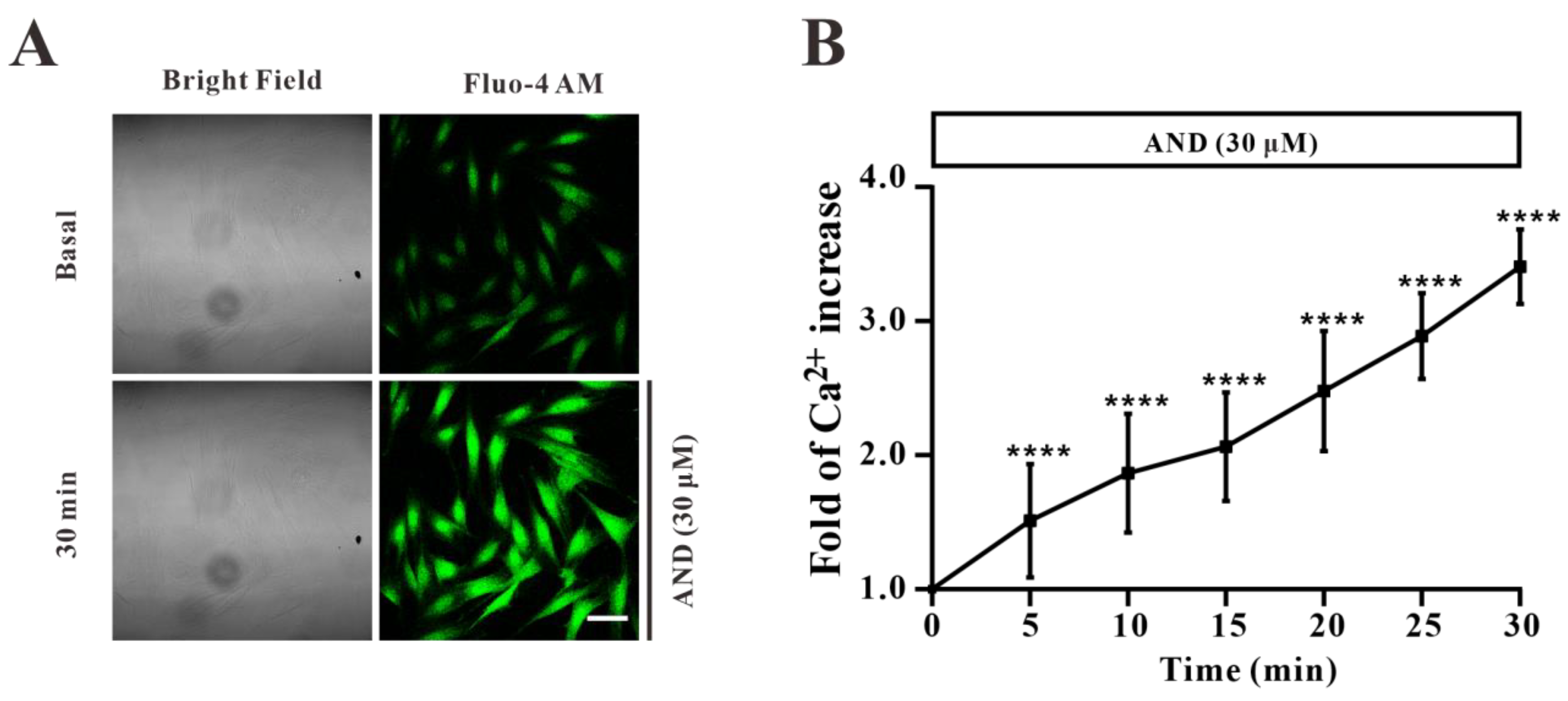 Pharmaceuticals 15 01346 g008