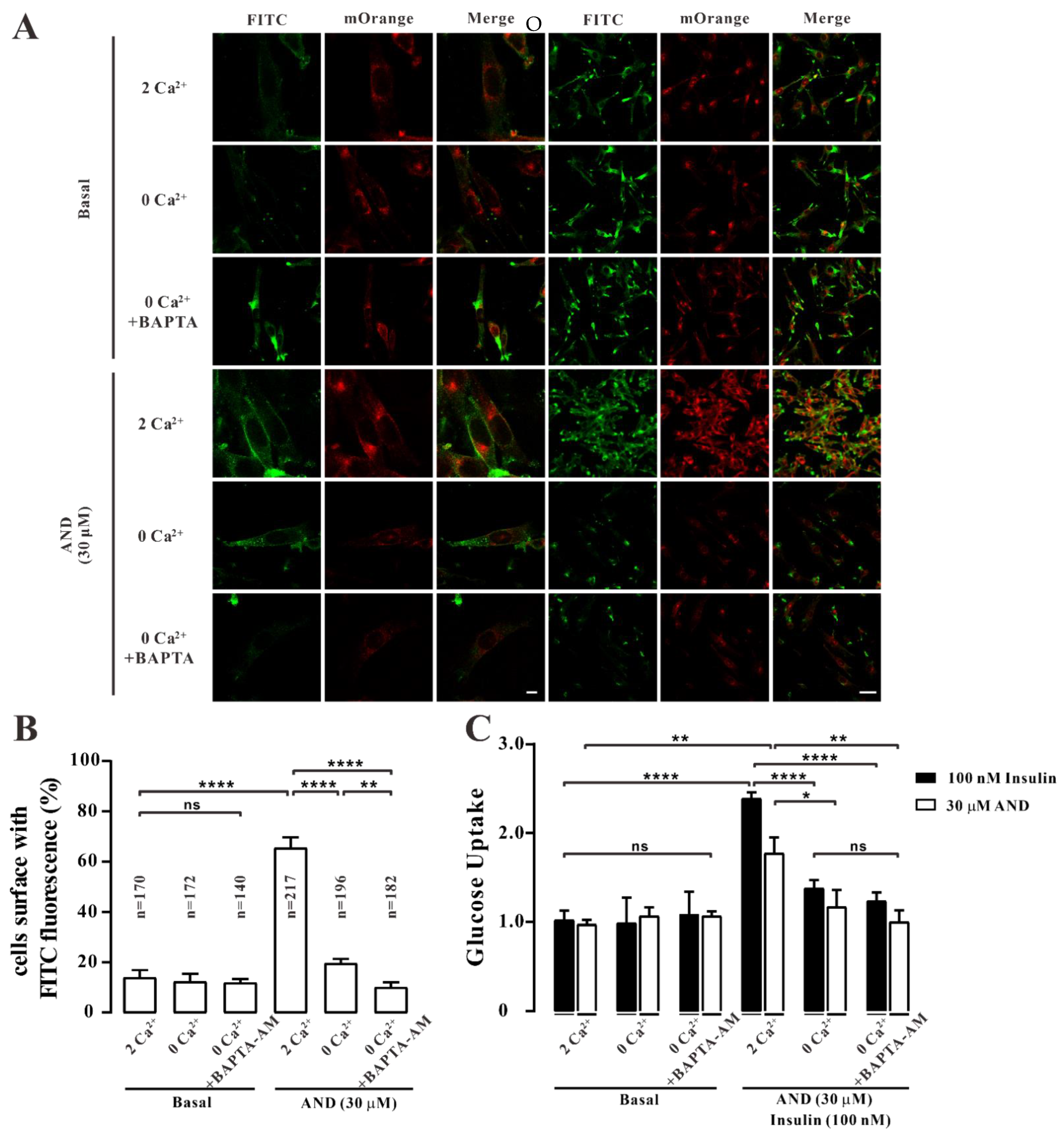 Pharmaceuticals 15 01346 g009