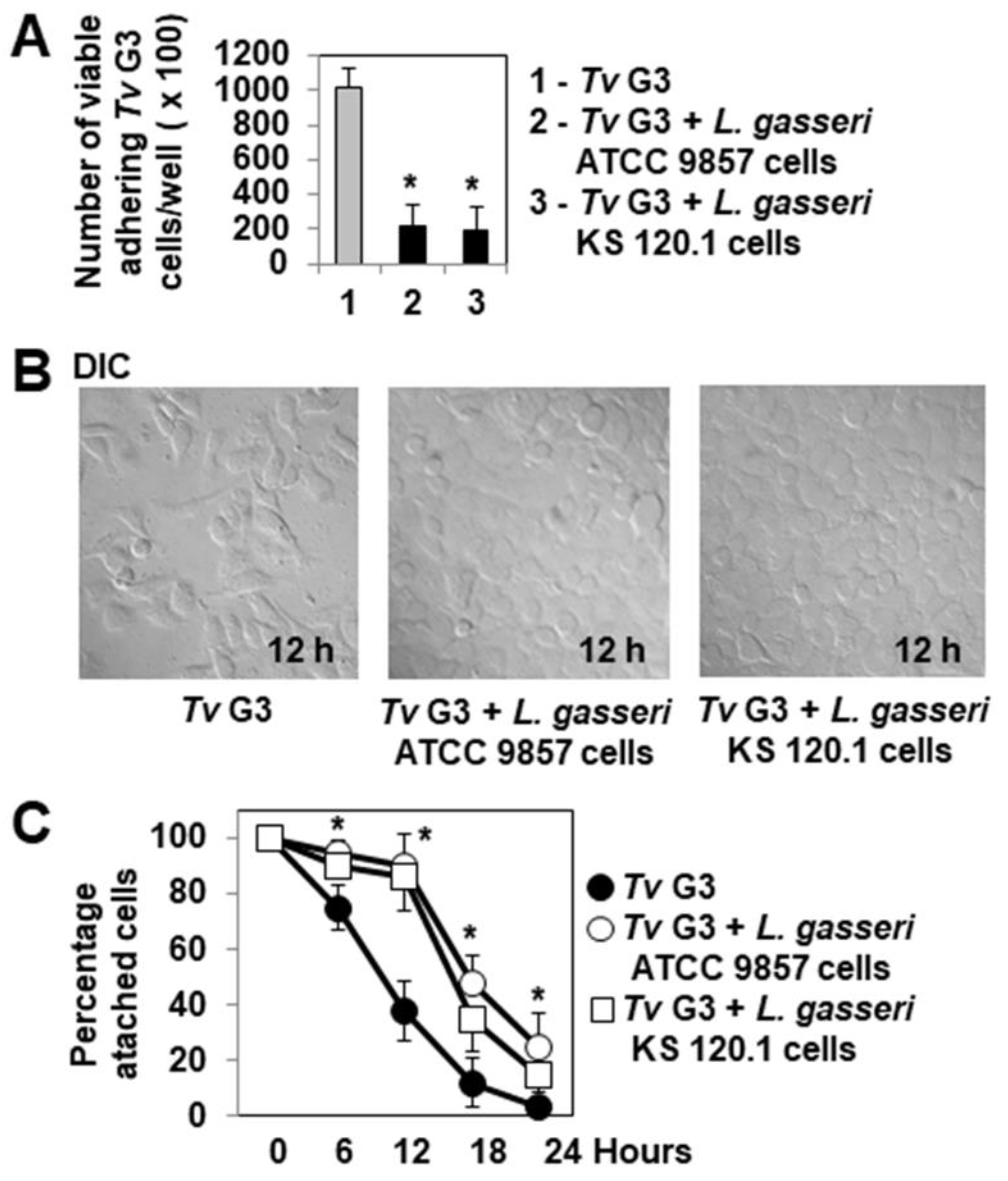 Pharmaceuticals 15 01350 g002 Pharmaceuticals 15 01350 g002