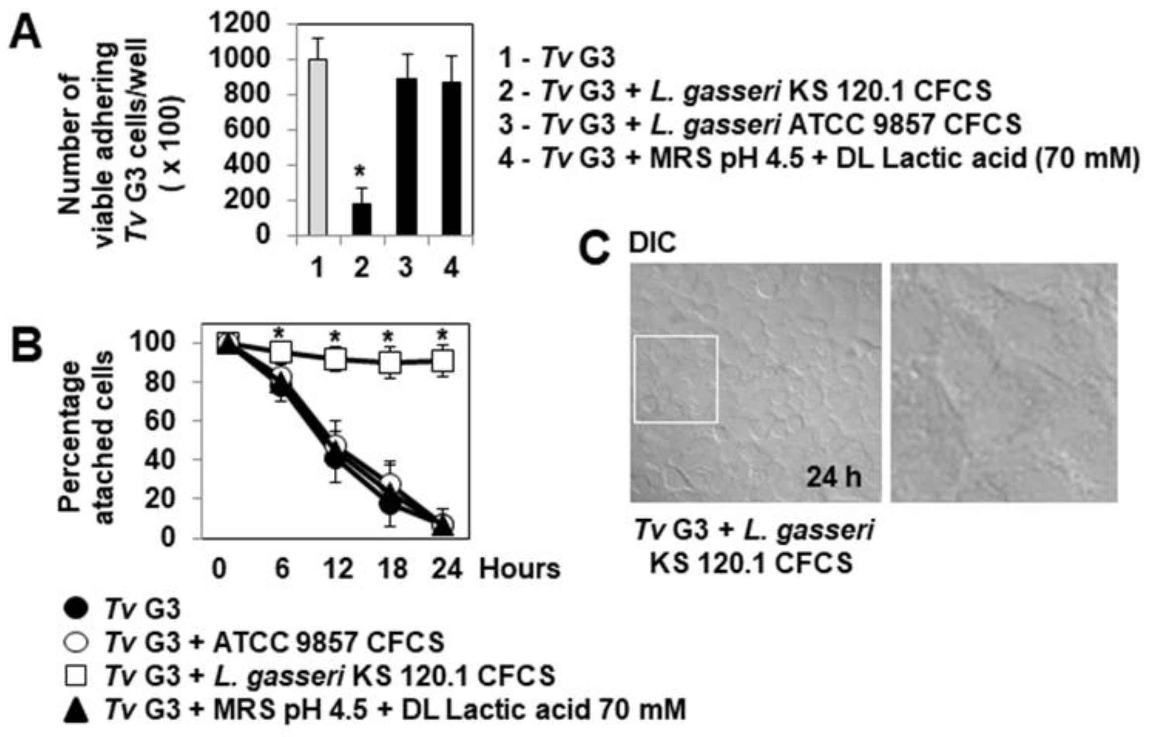 Pharmaceuticals 15 01350 g005 Pharmaceuticals 15 01350 g005