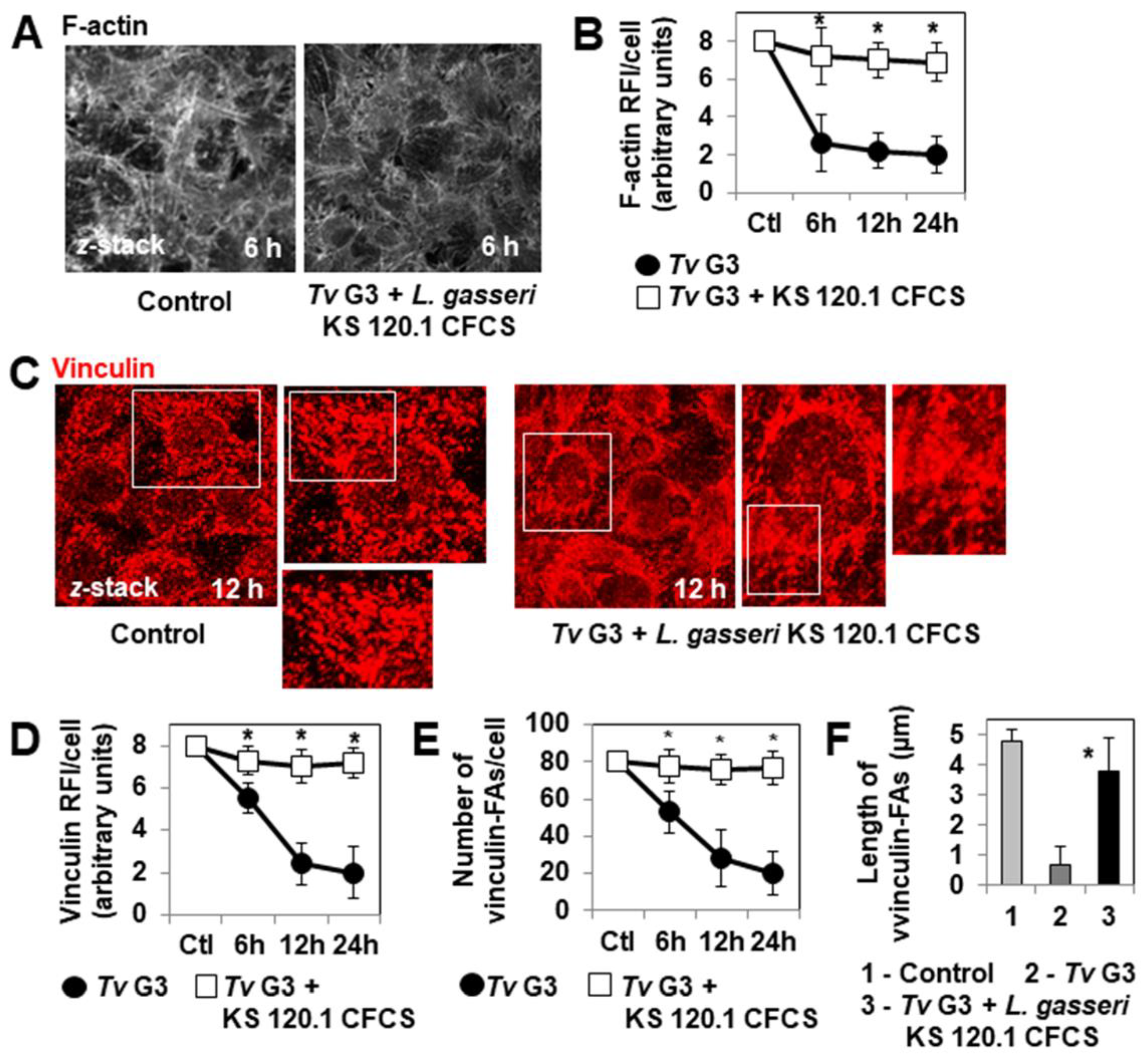 Pharmaceuticals 15 01350 g006 Pharmaceuticals 15 01350 g006