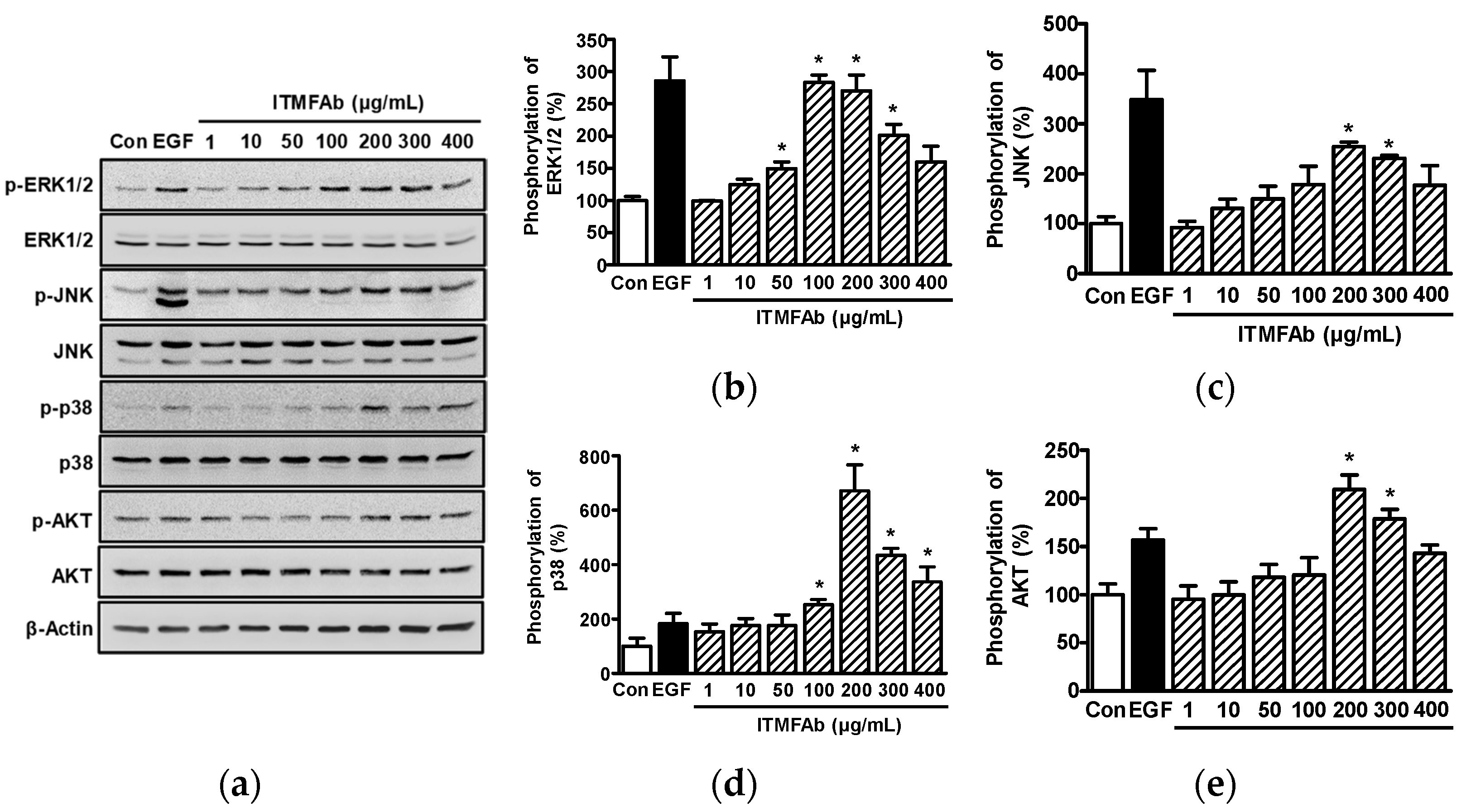 Pharmaceuticals 15 01397 g004