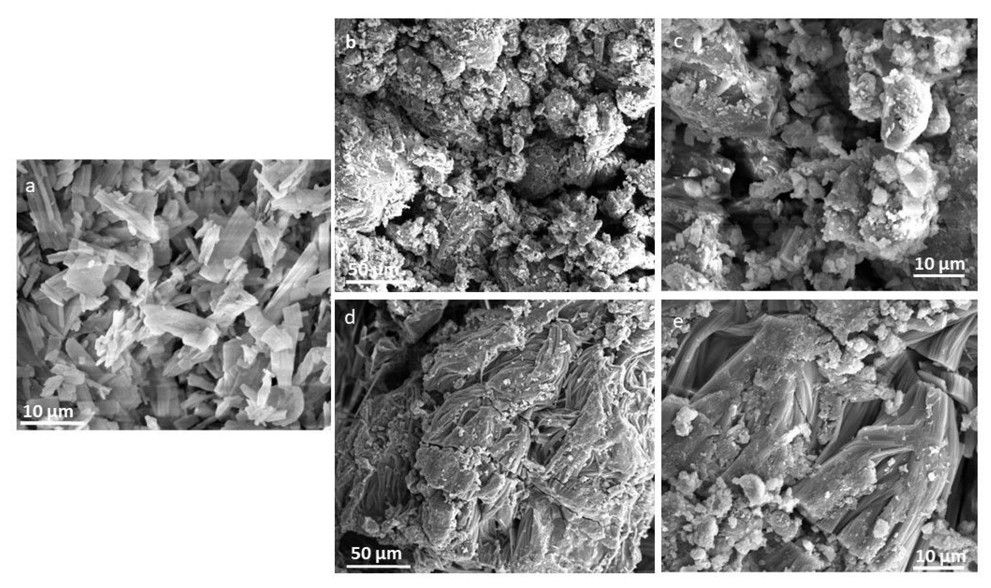 Pharmaceuticals 15 01399 g008