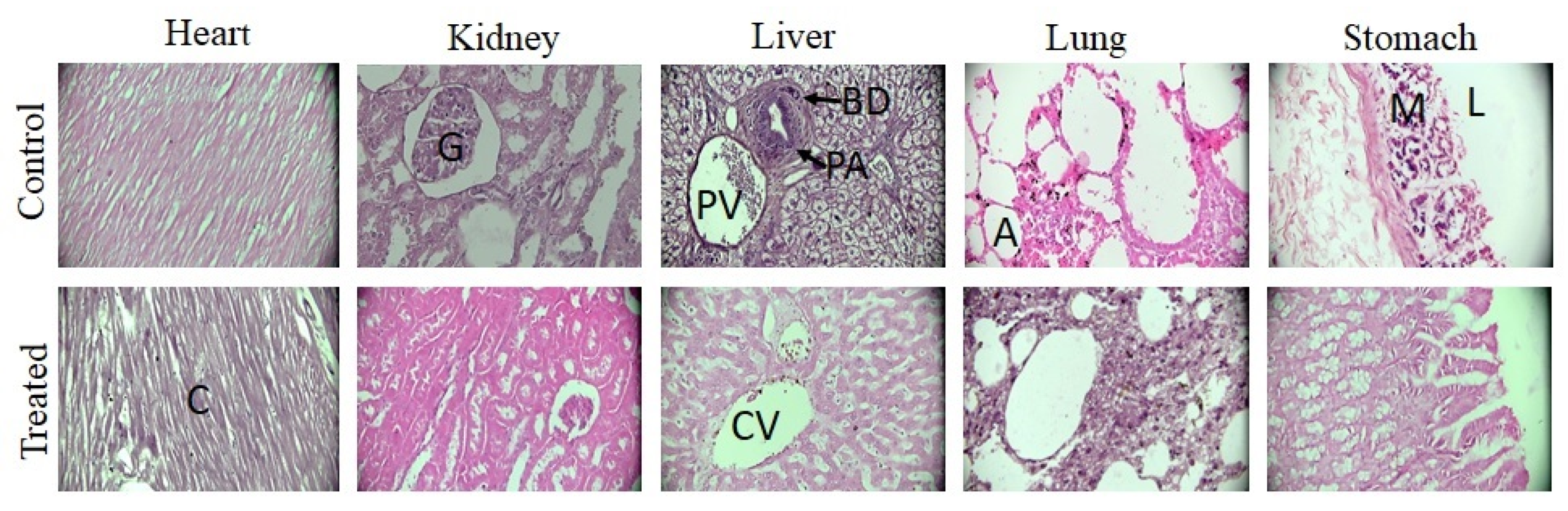 Pharmaceuticals 15 01399 g011