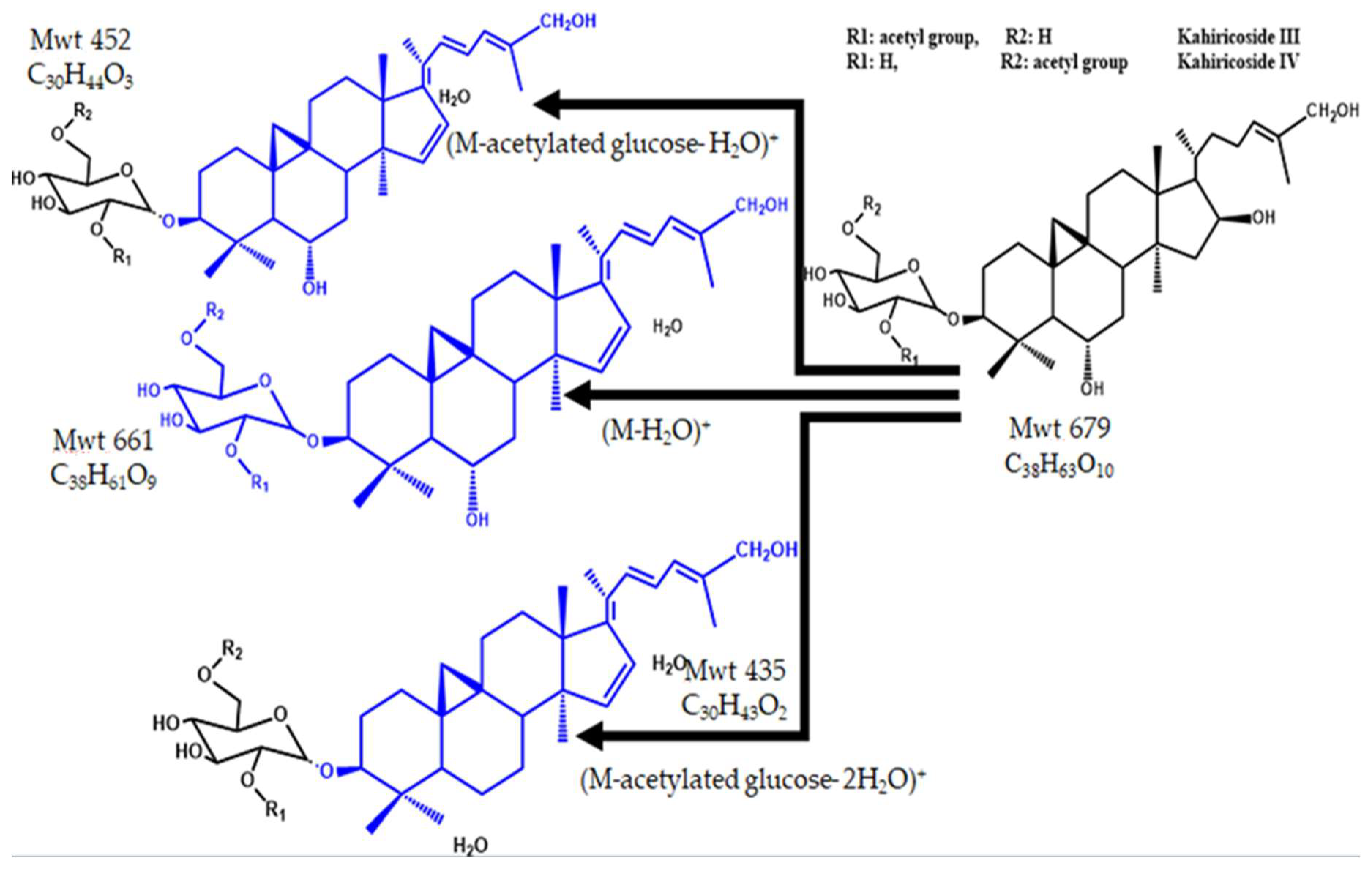 Pharmaceuticals 15 01406 g009 Pharmaceuticals 15 01406 g009