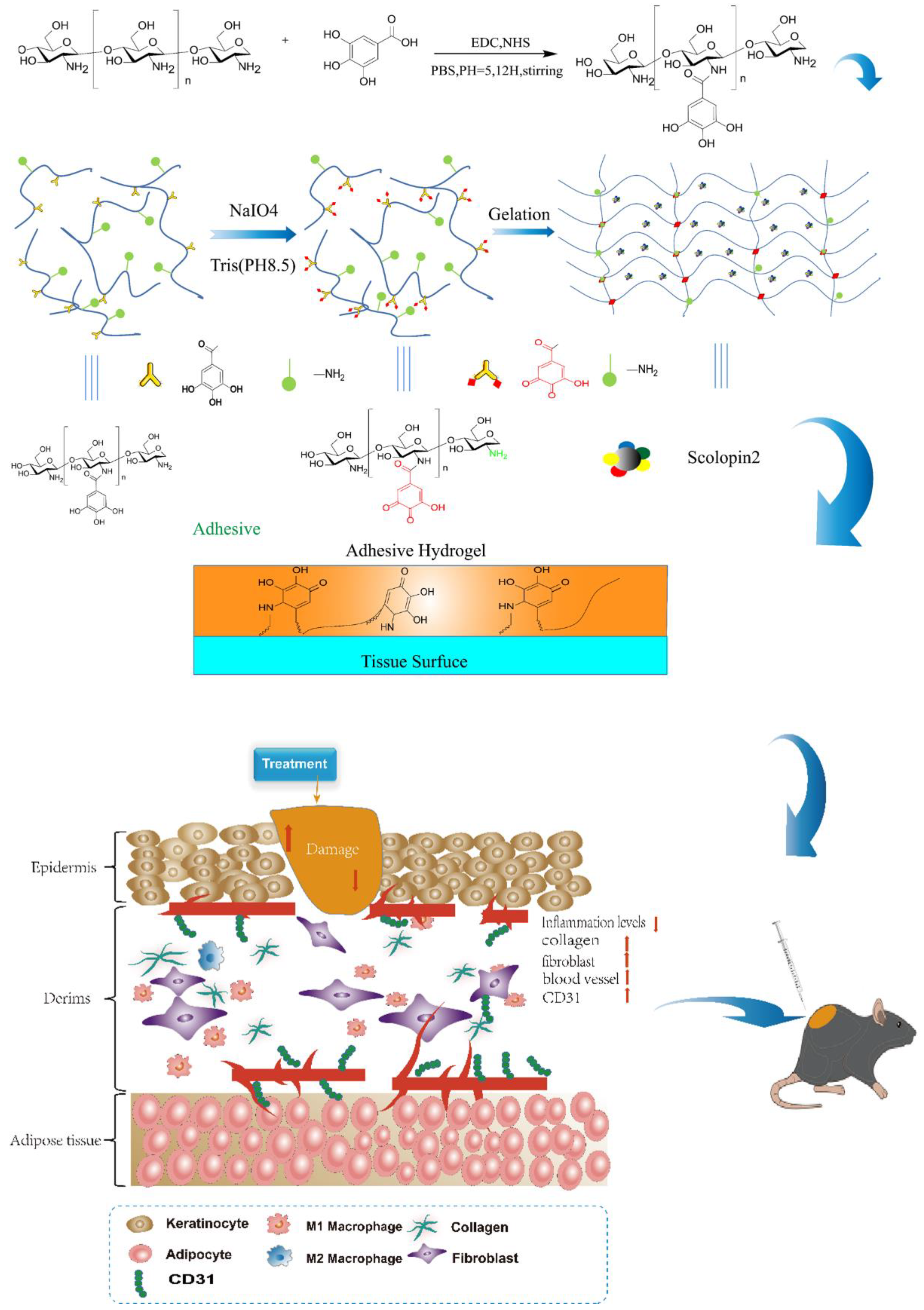 Pharmaceuticals 15 01422 g001