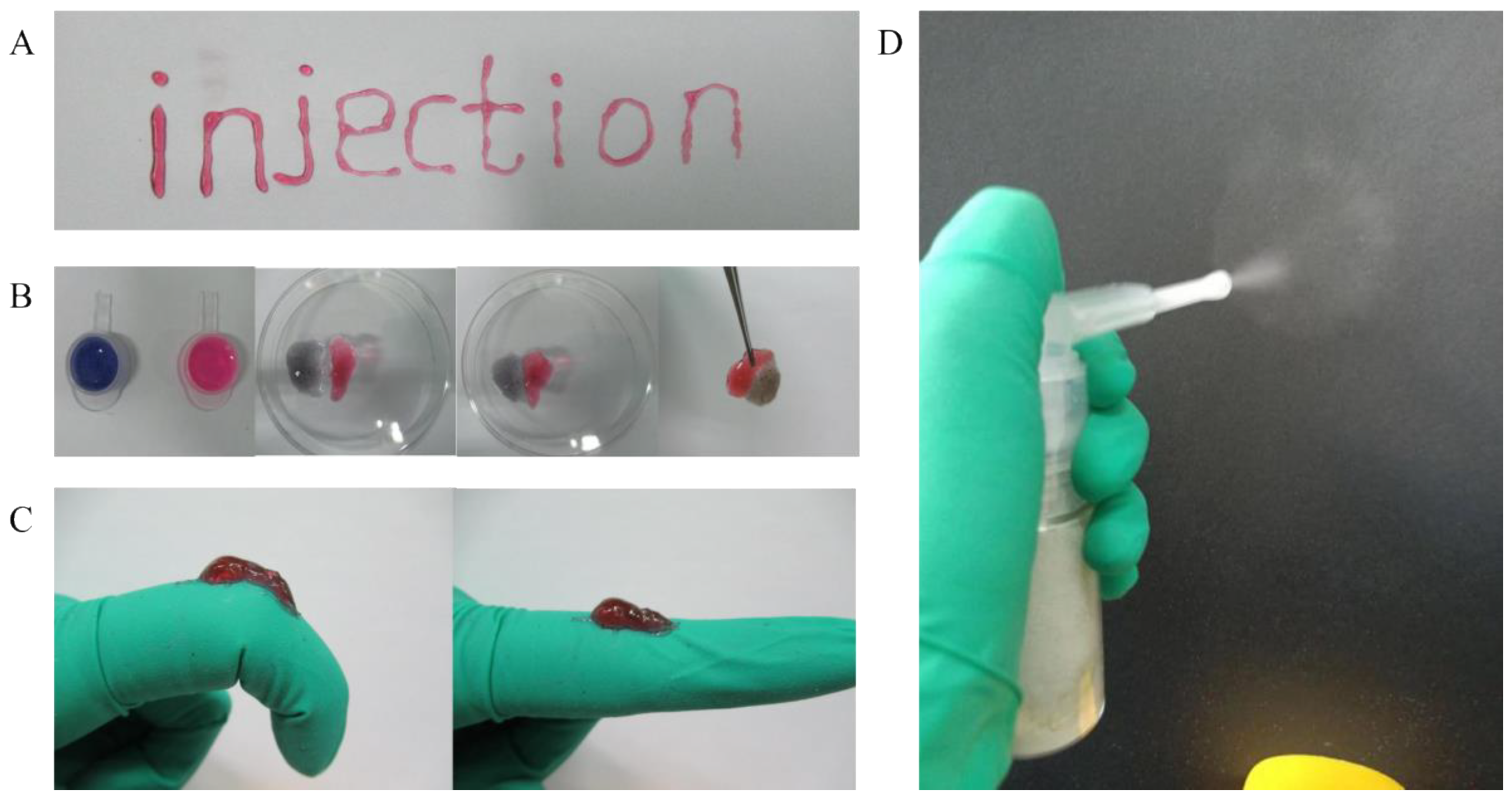 Pharmaceuticals 15 01422 g004