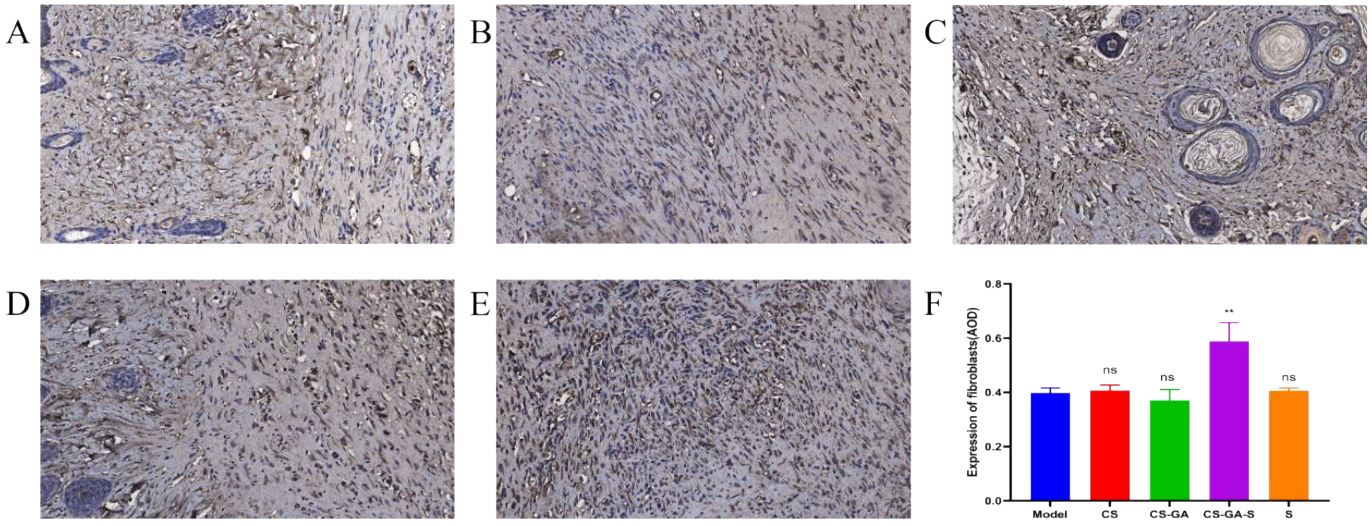 Pharmaceuticals 15 01422 g014