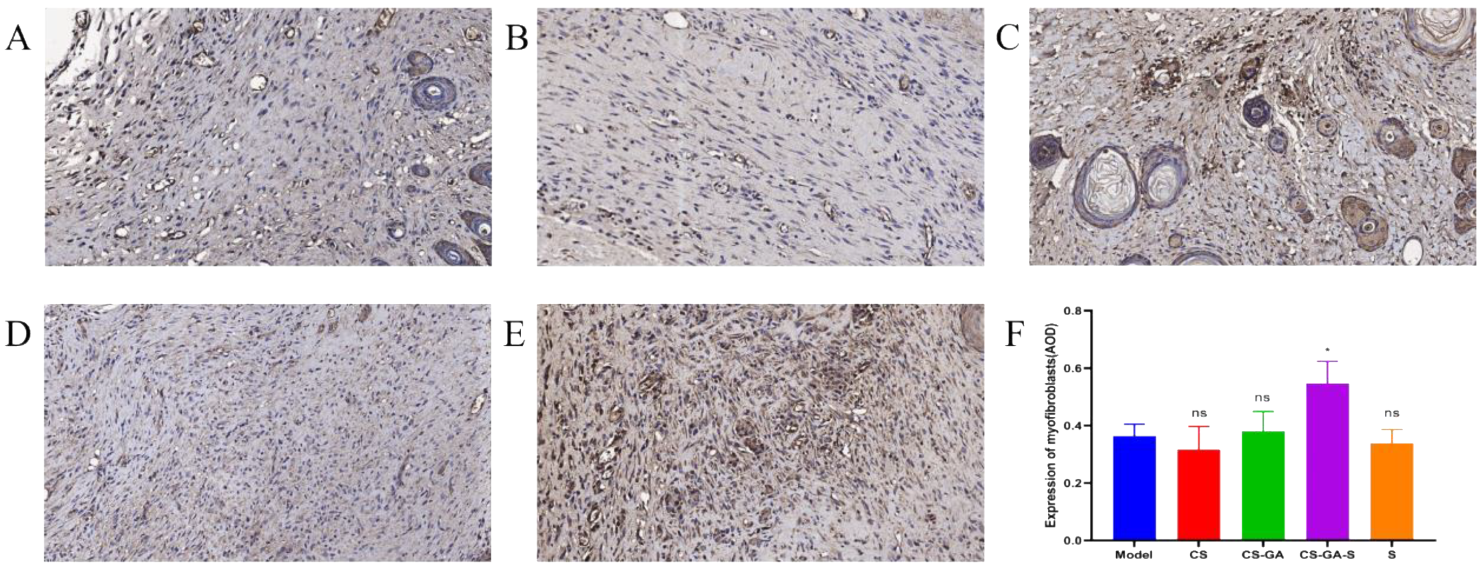 Pharmaceuticals 15 01422 g015