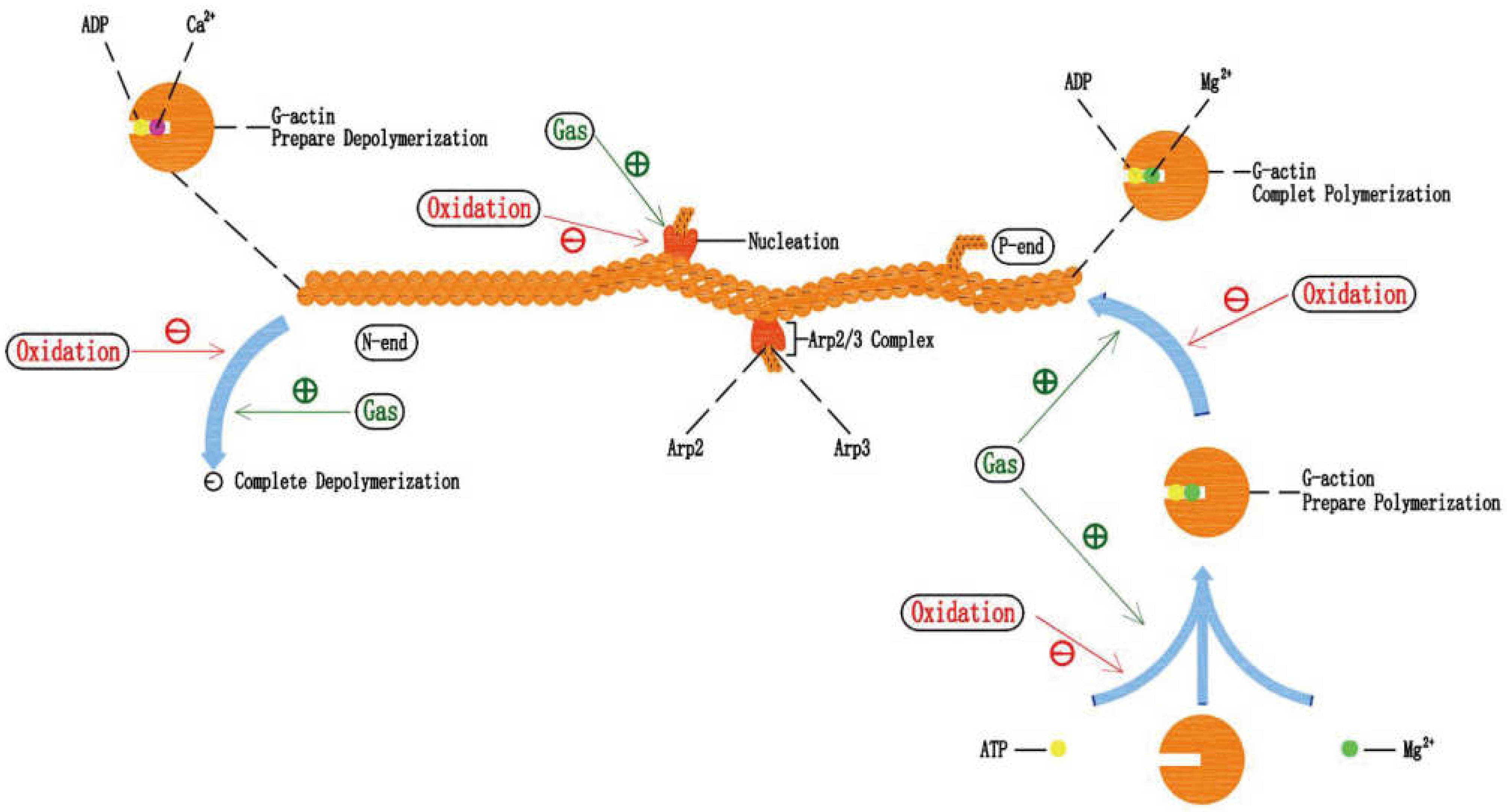 Pharmaceuticals 15 01432 g003 Pharmaceuticals 15 01432 g003