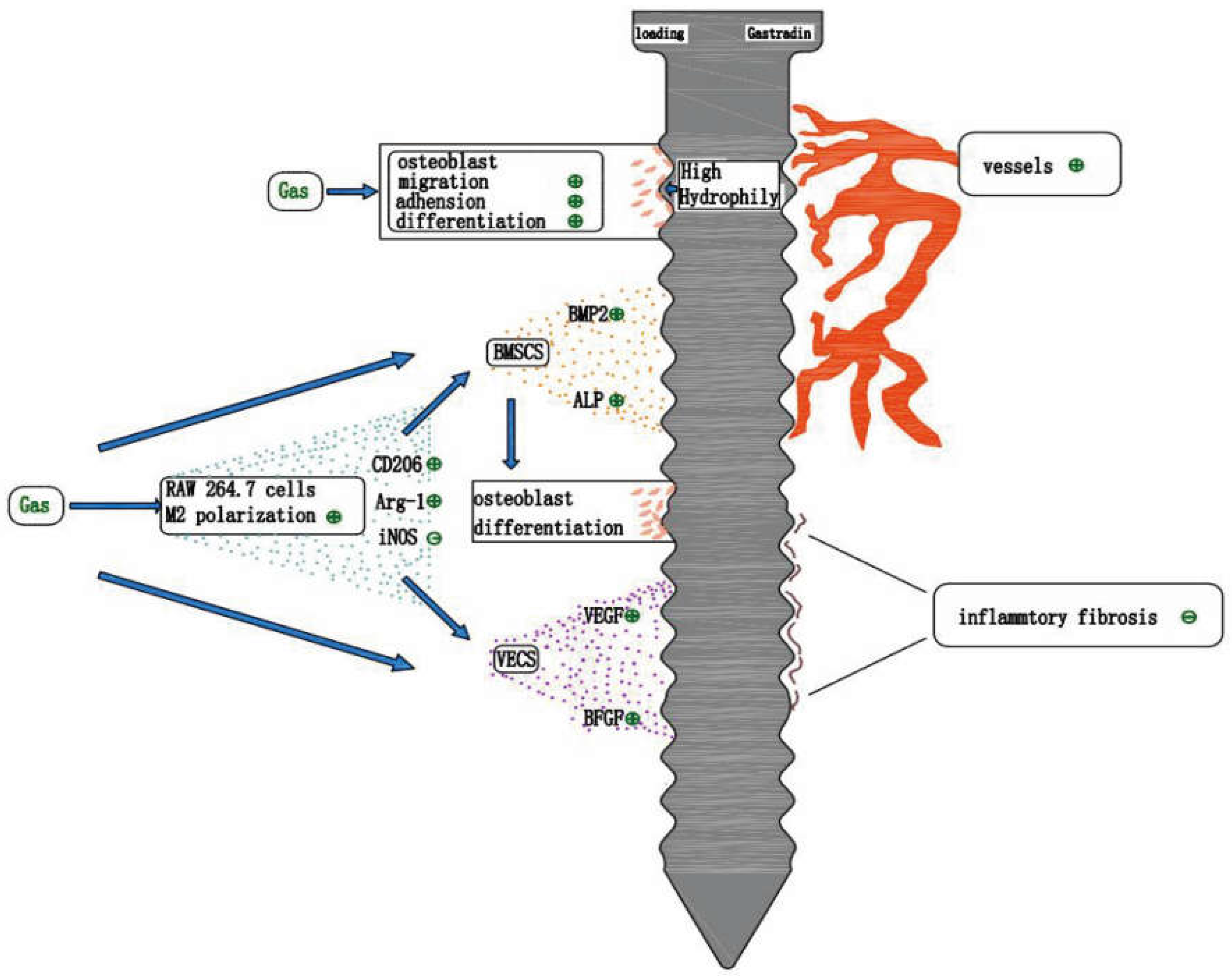 Pharmaceuticals 15 01432 g006 Pharmaceuticals 15 01432 g006