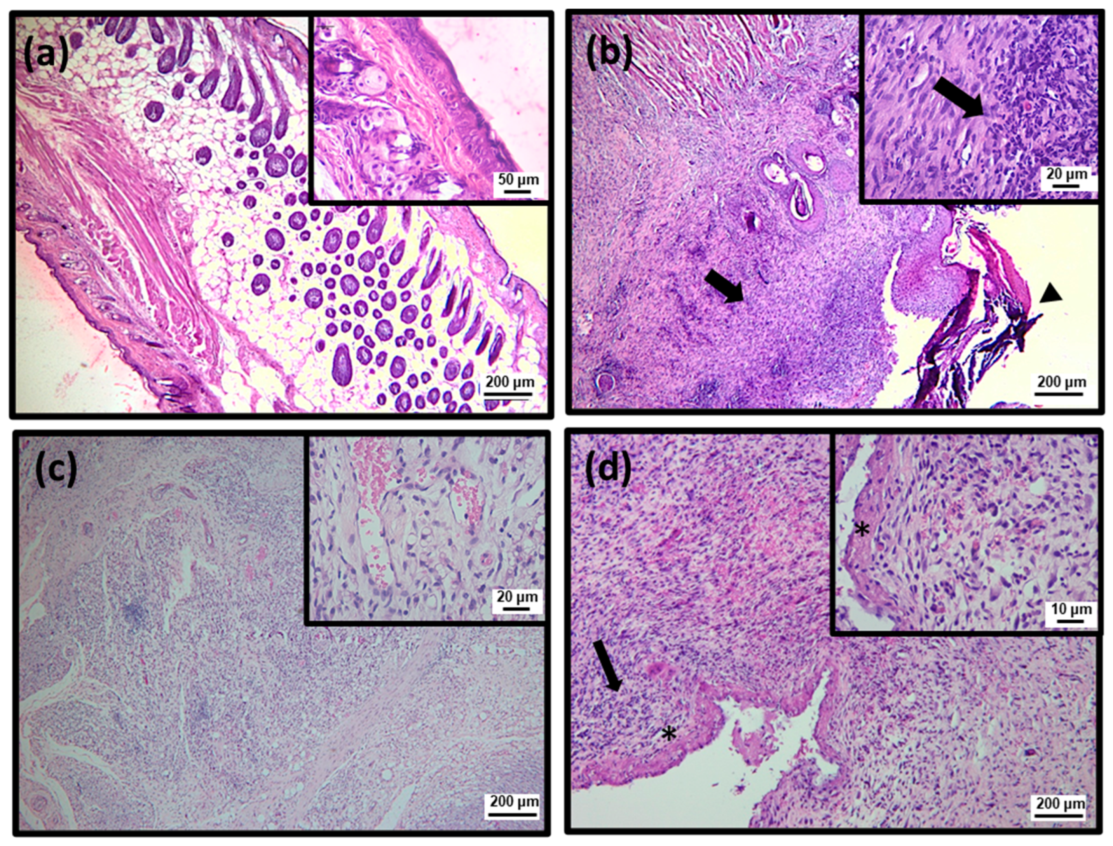 Pharmaceuticals 15 01441 g005