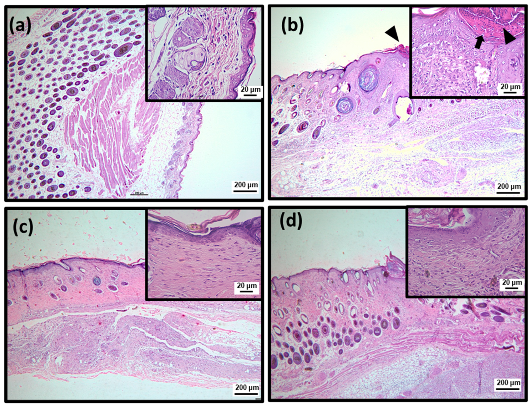 Pharmaceuticals 15 01441 g006