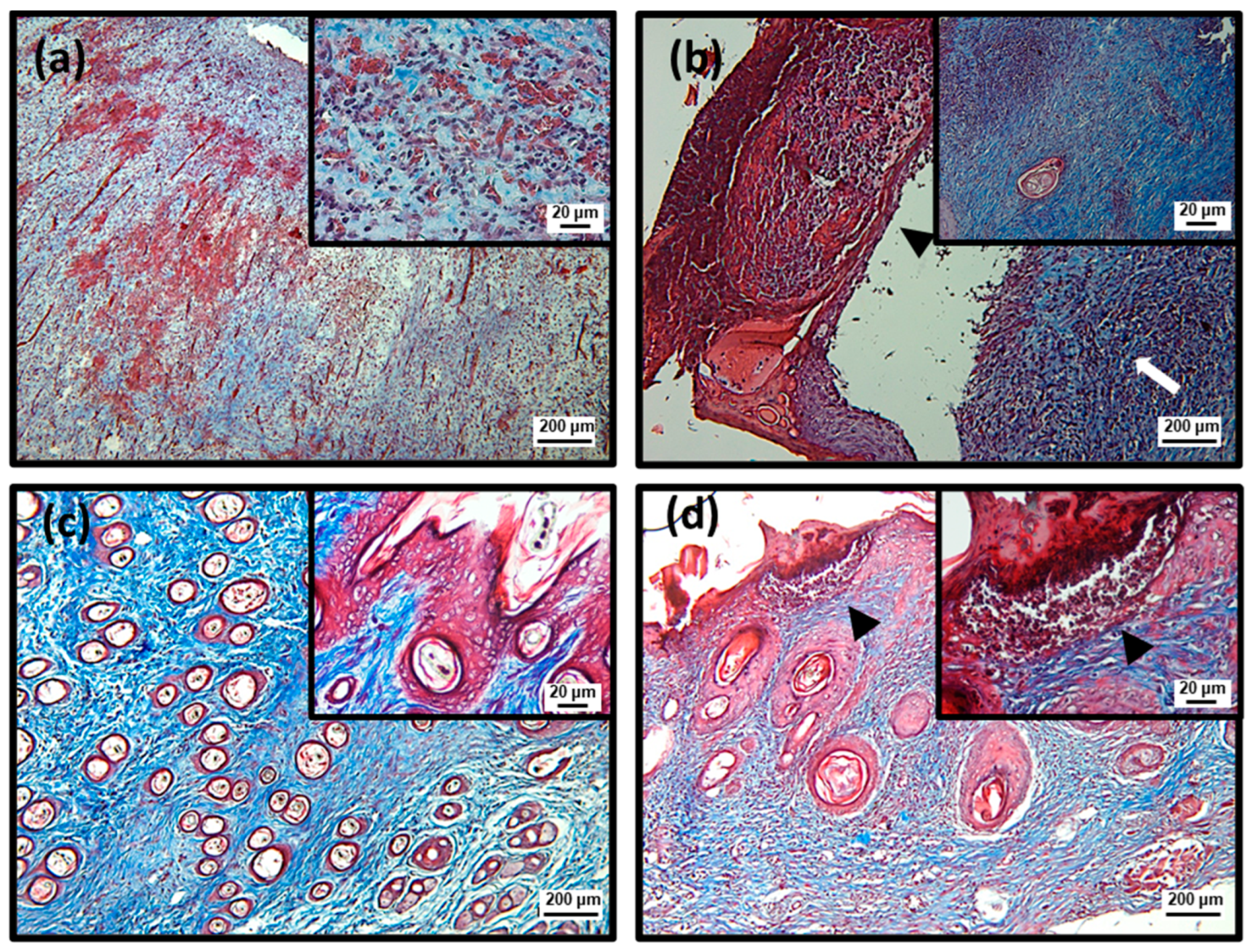 Pharmaceuticals 15 01441 g007