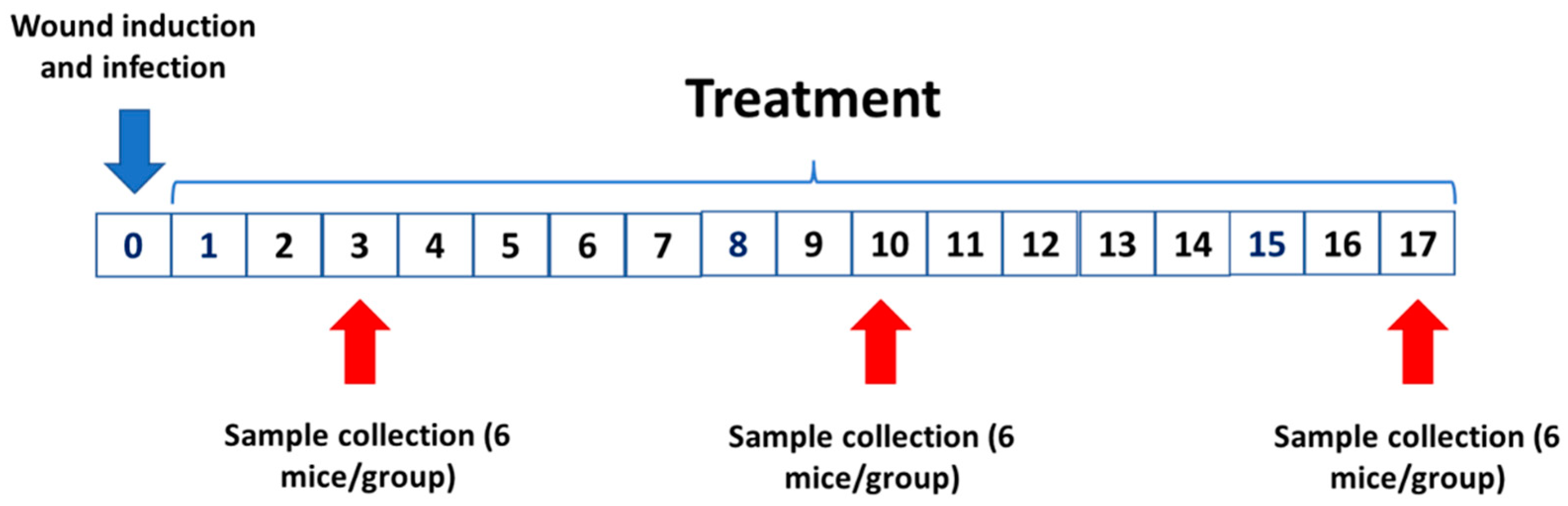 Pharmaceuticals 15 01441 g011