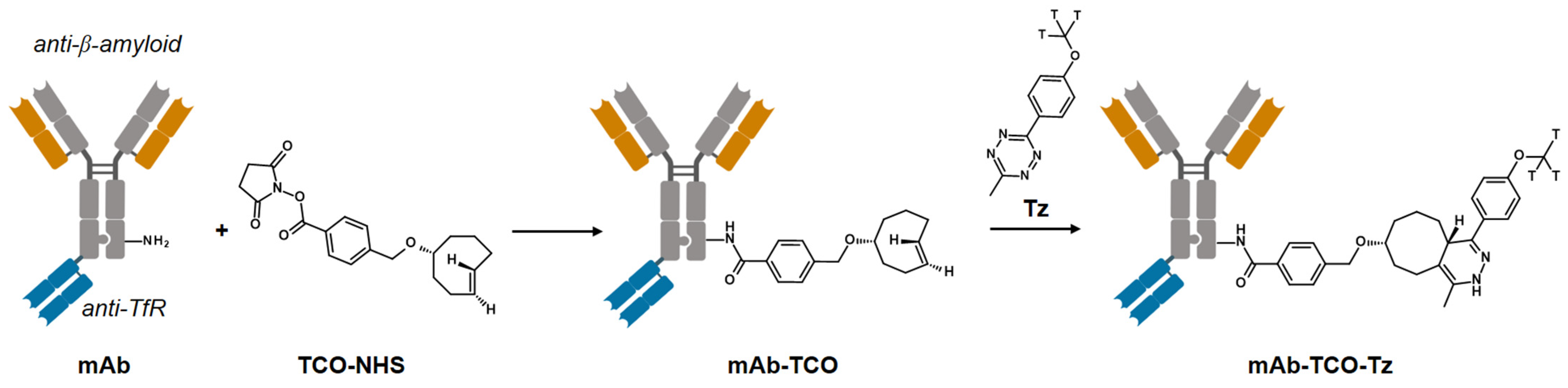 Pharmaceuticals 15 01445 g001 Pharmaceuticals 15 01445 g001