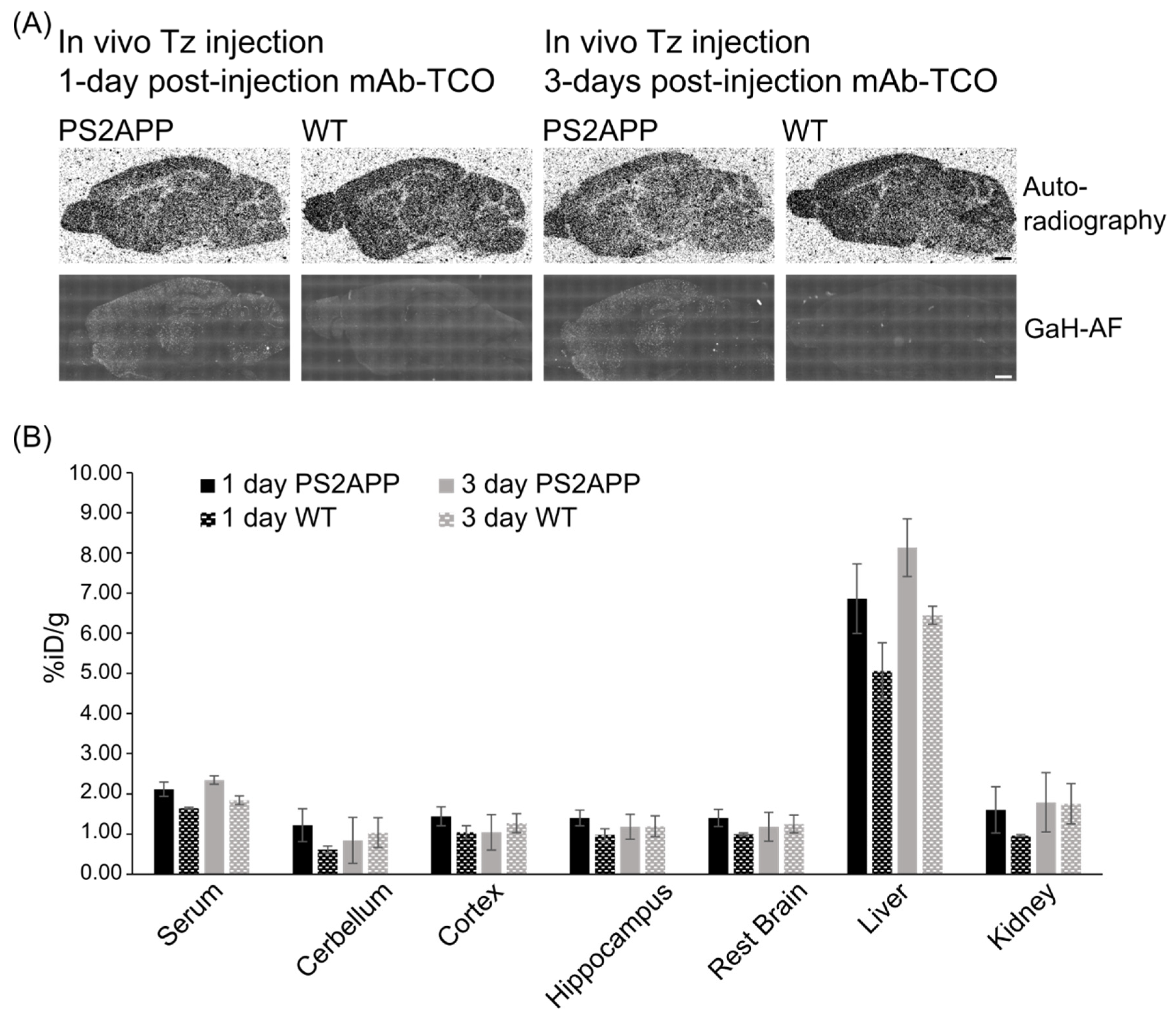 Pharmaceuticals 15 01445 g006 Pharmaceuticals 15 01445 g006